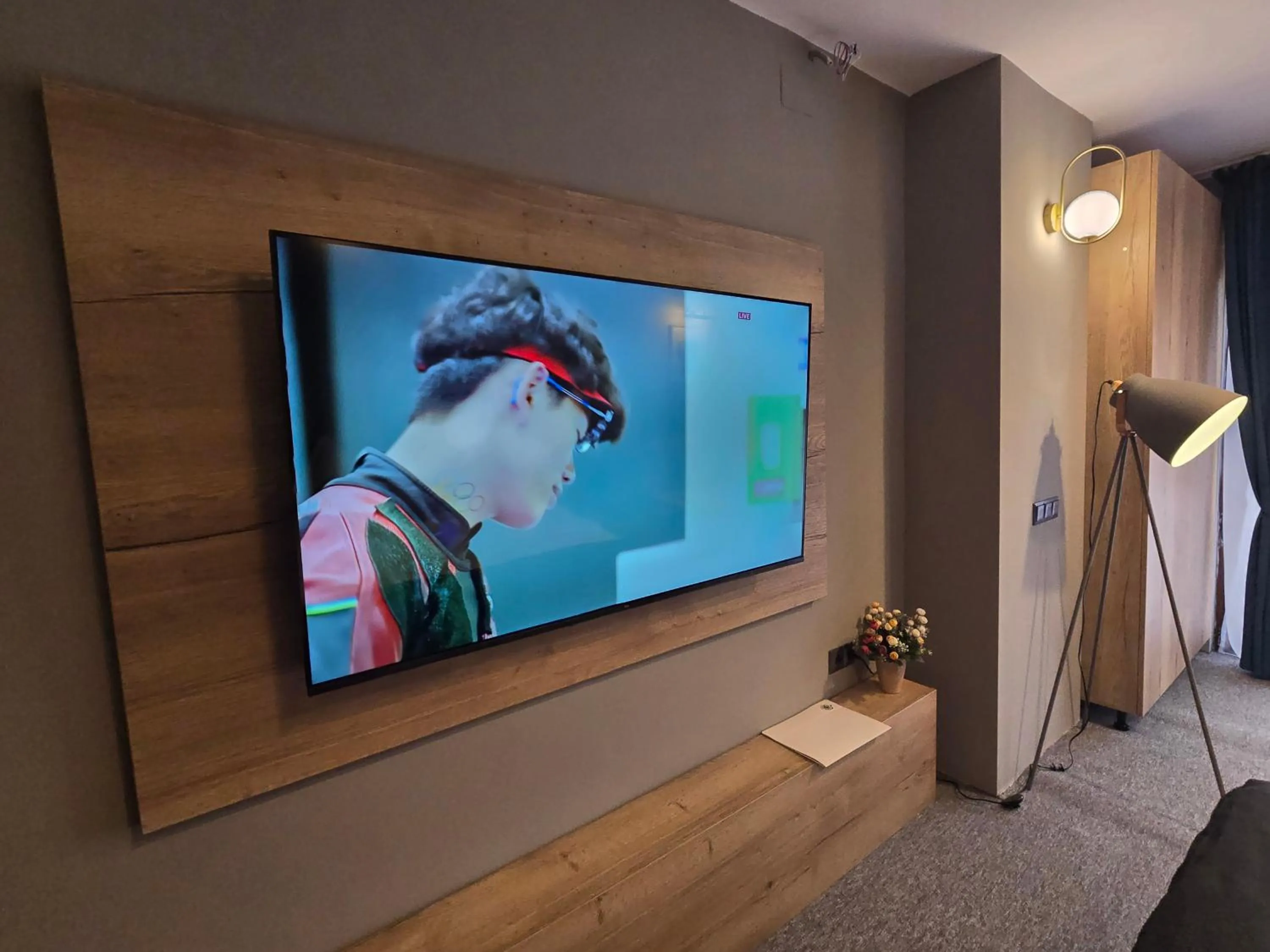 TV and multimedia in CASA FLORESCU