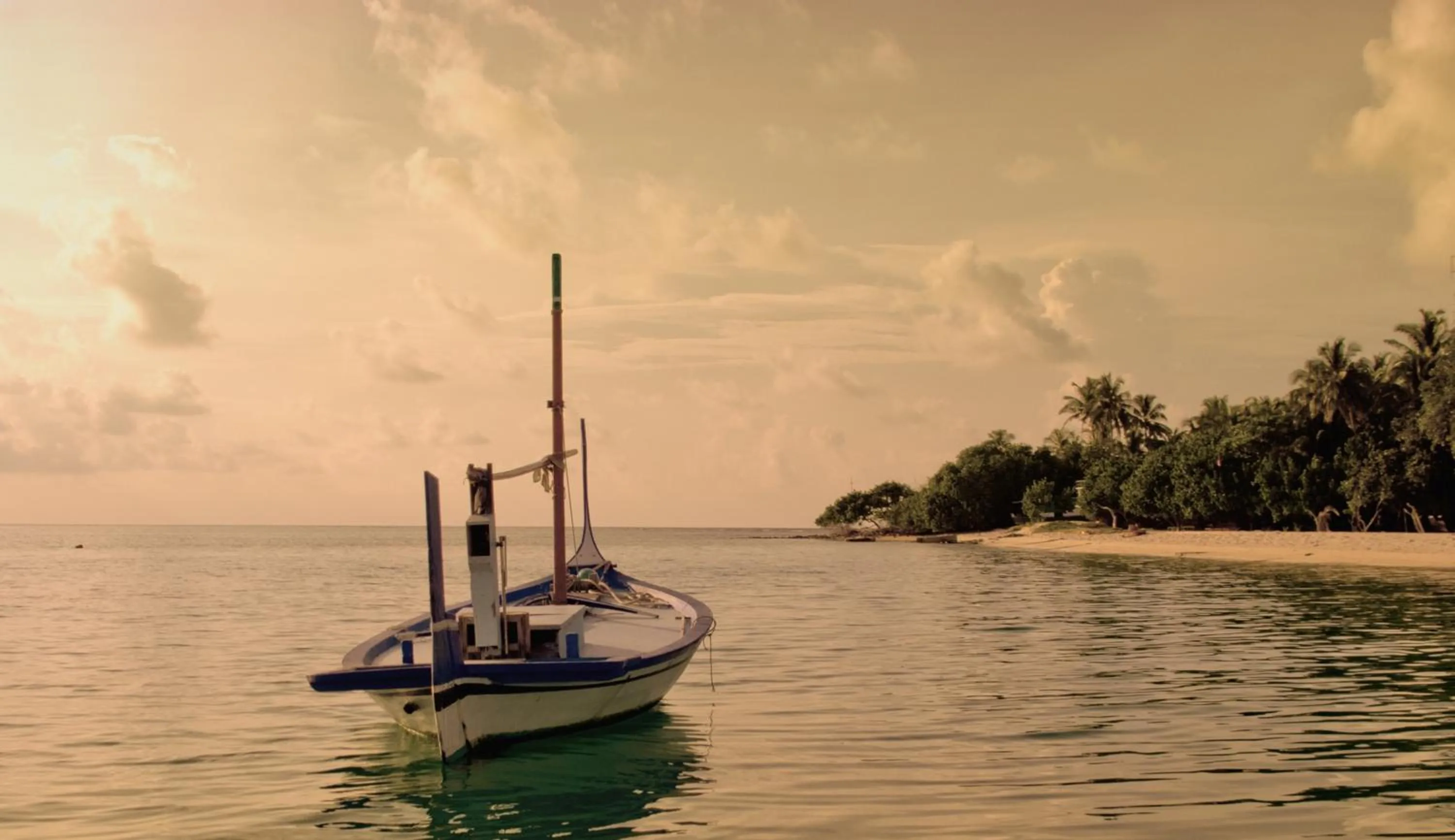Diving in Thundi Sea View