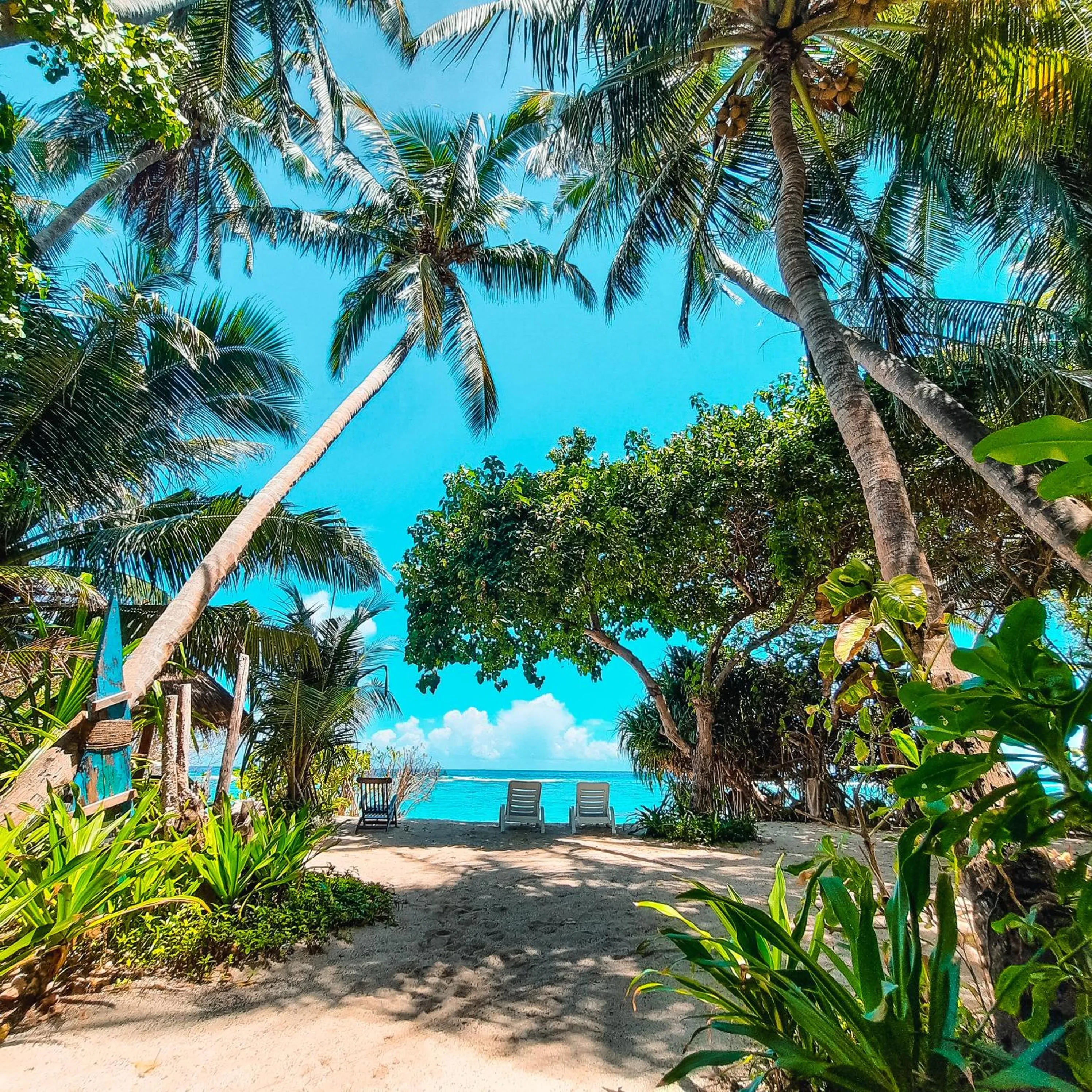 View (from property/room) in Thundi Sea View