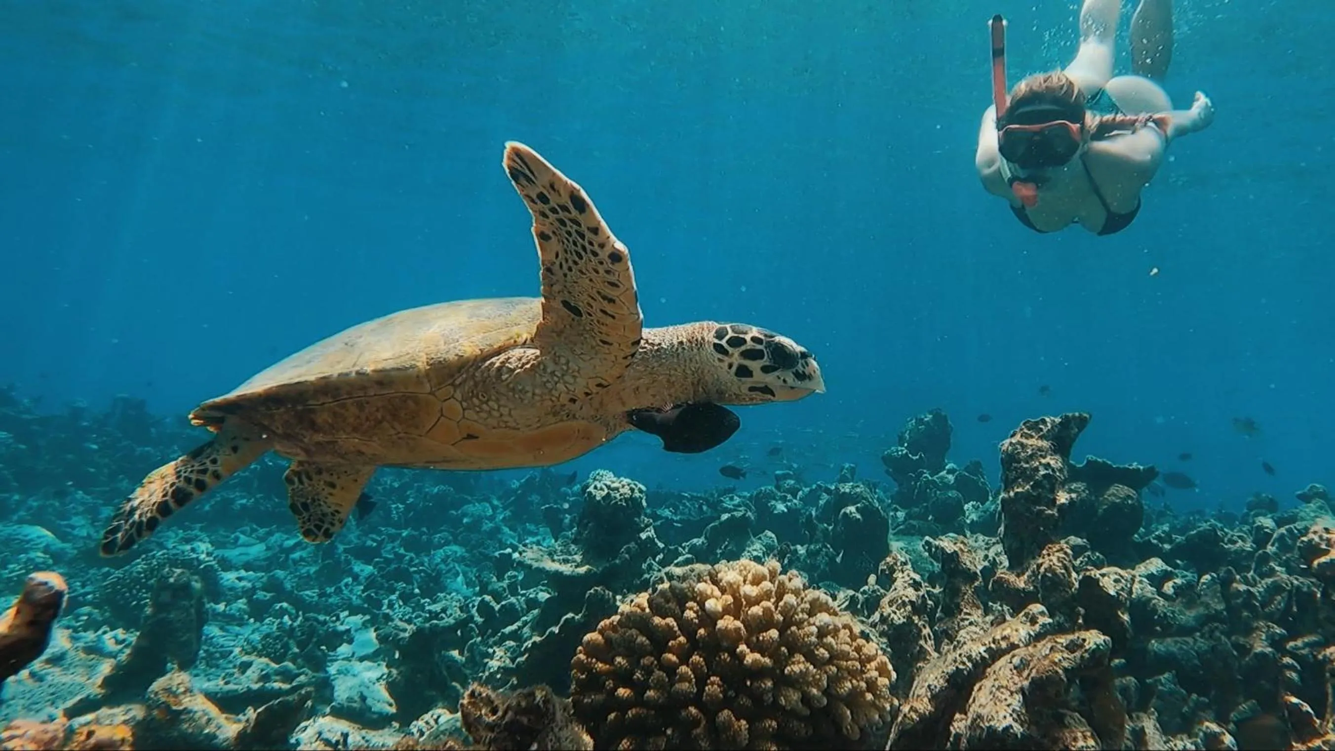 Activities in Thundi Sea View