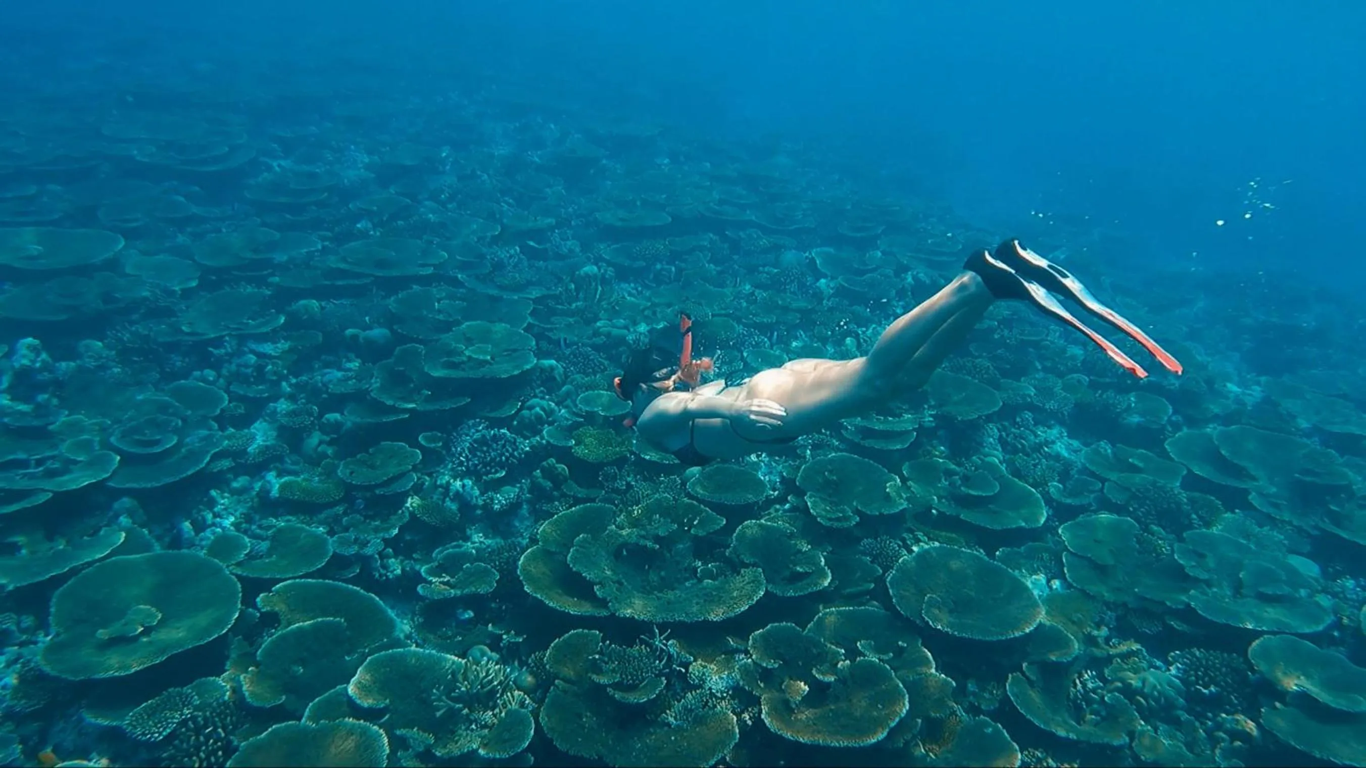 Activities in Thundi Sea View