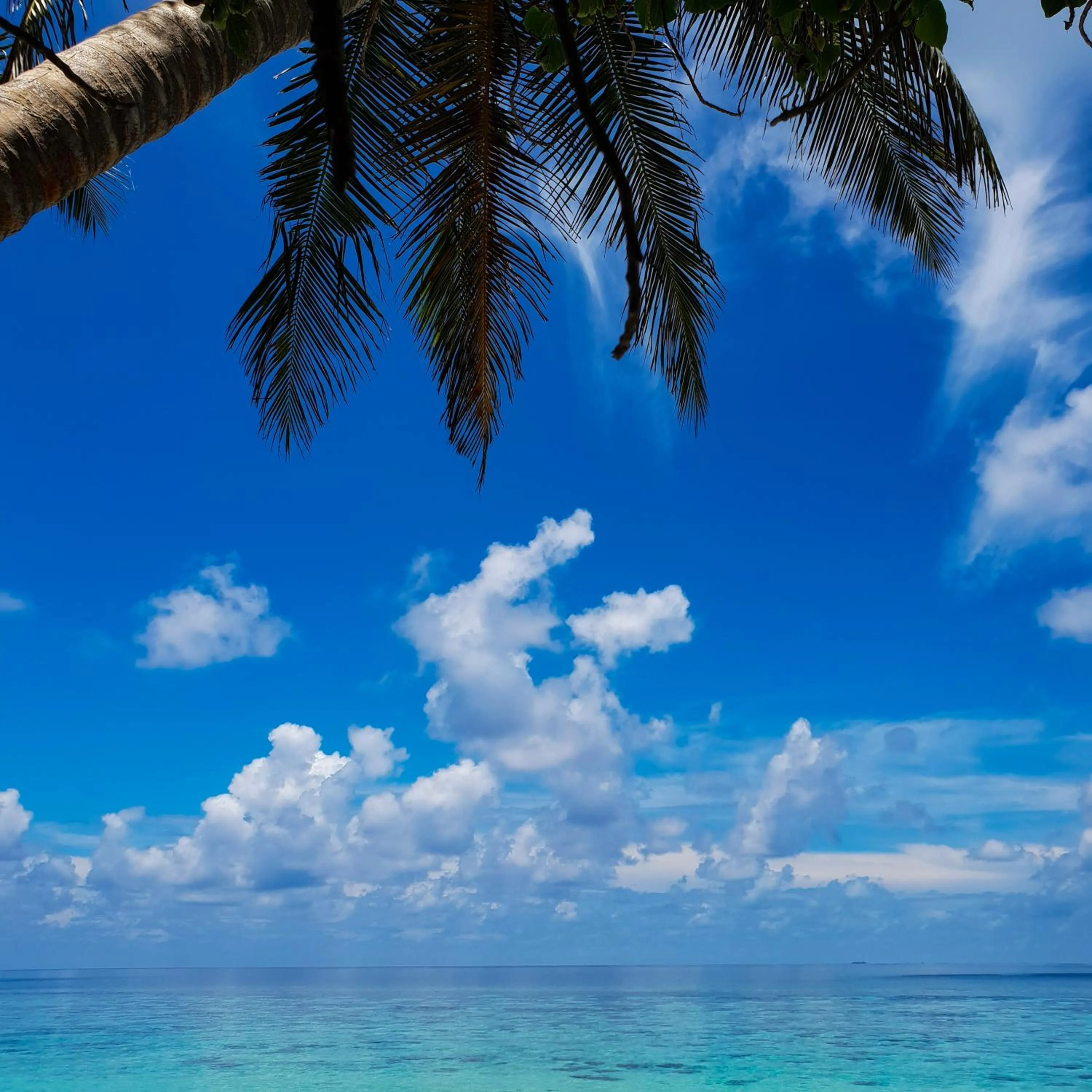 Natural landscape in Thundi Sea View