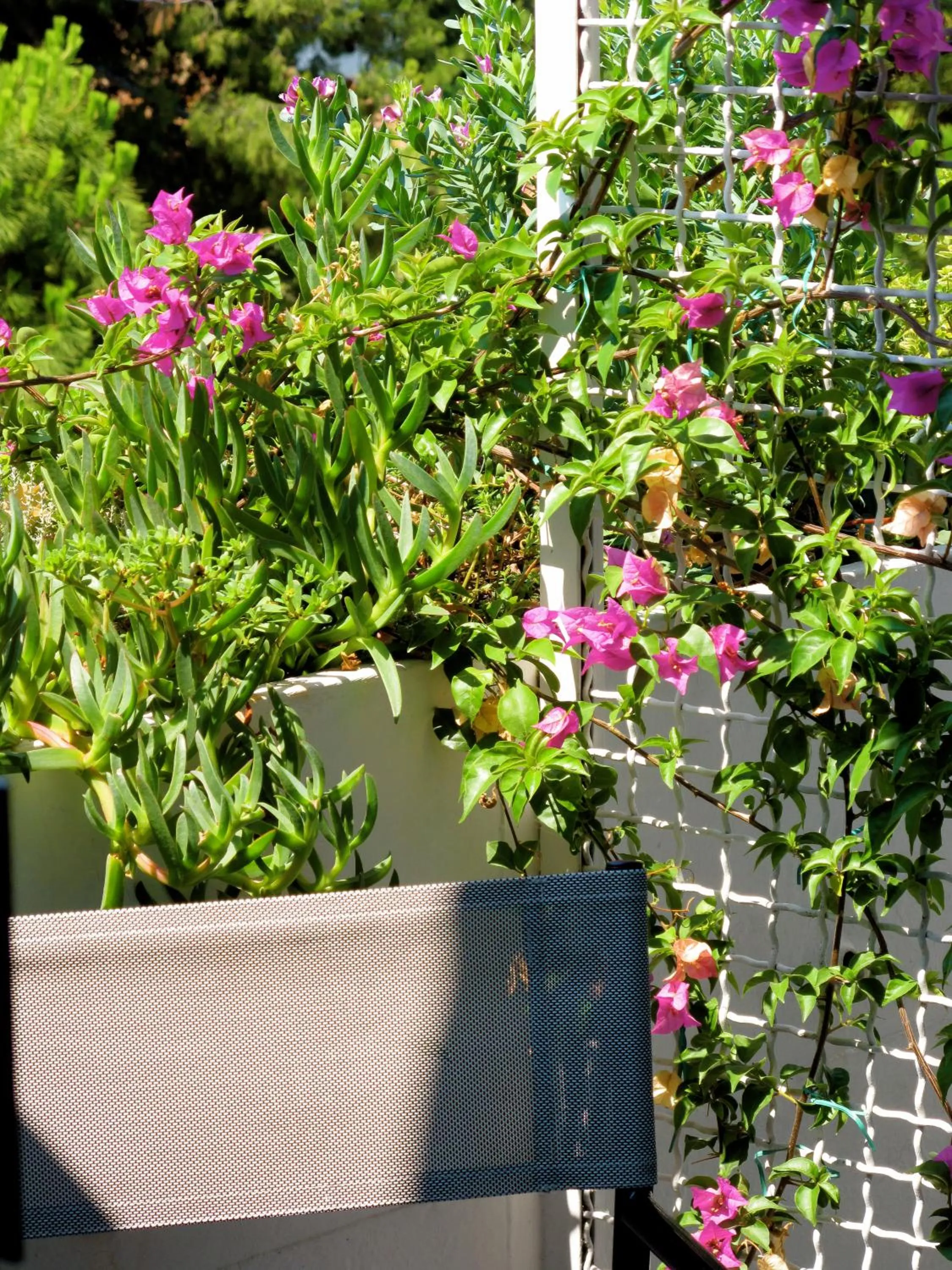 Balcony/Terrace in Hotel Diamond