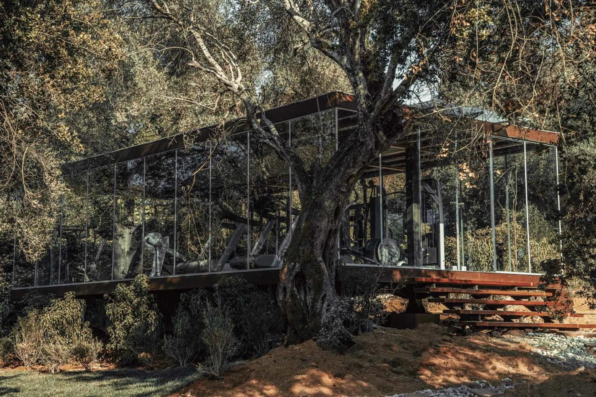 Fitness centre/facilities in Cook's Club Corfu - Adults Only