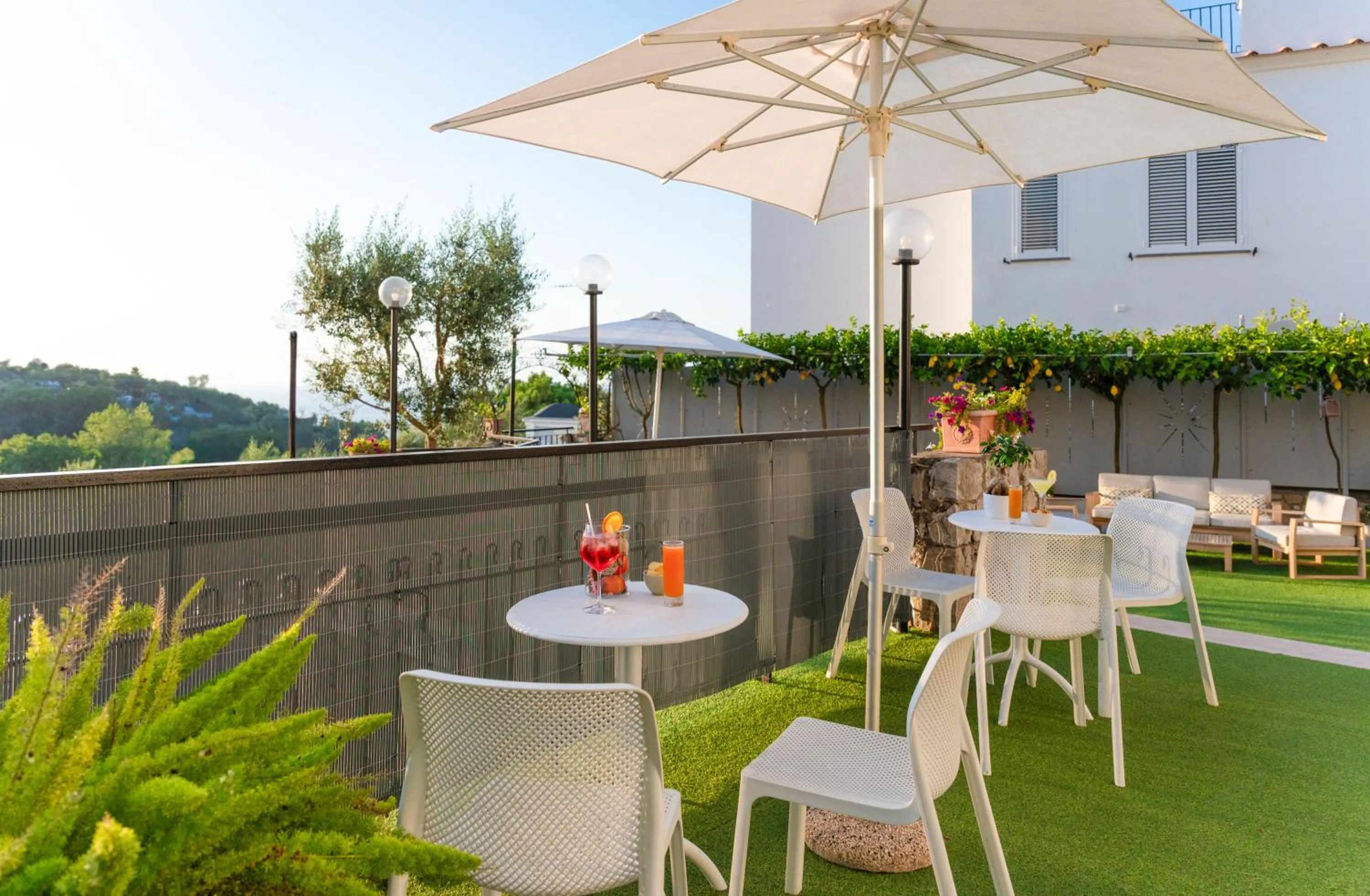 Garden in Hotel Britannia