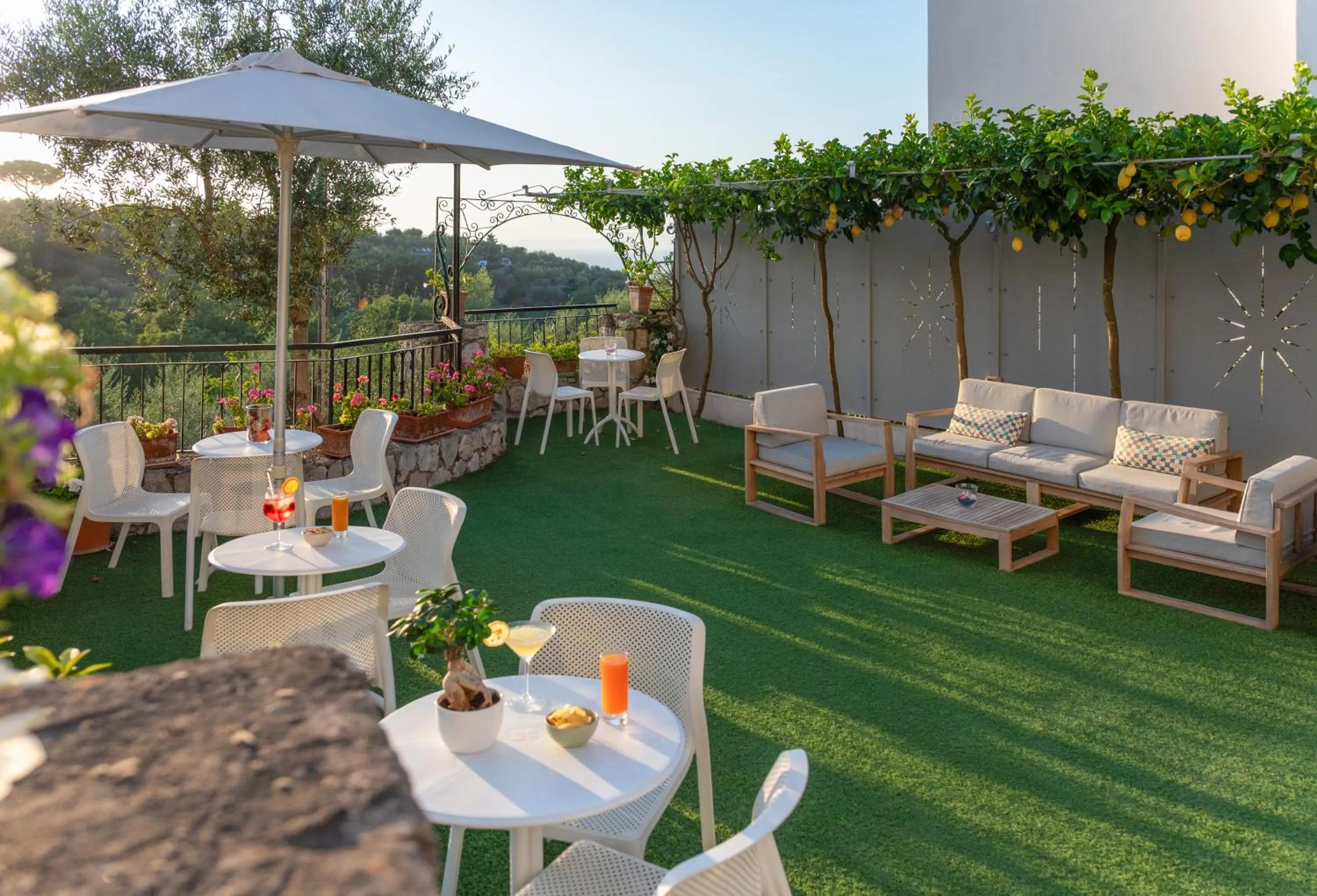 Garden in Hotel Britannia