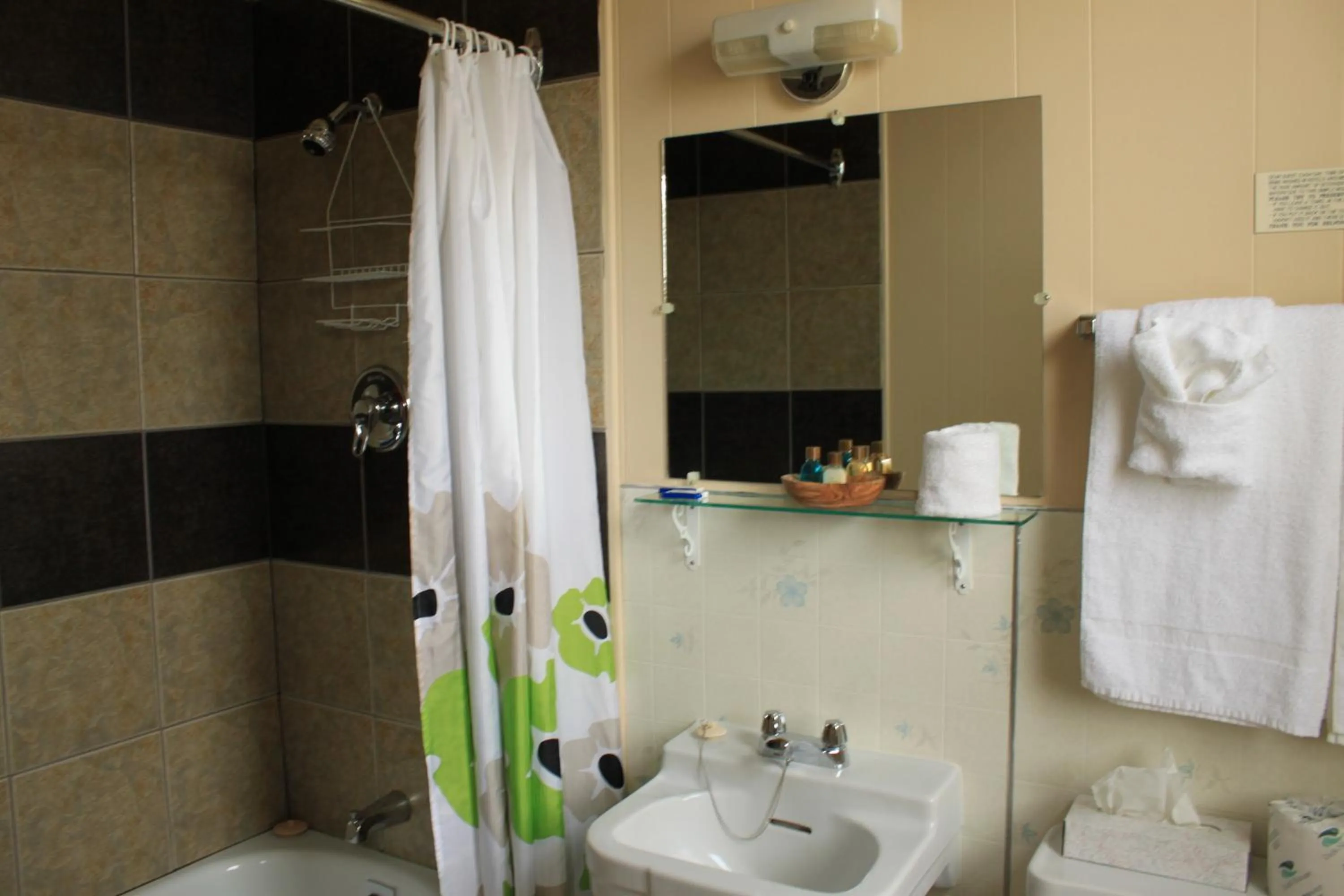 Bathroom in Oasis Motel