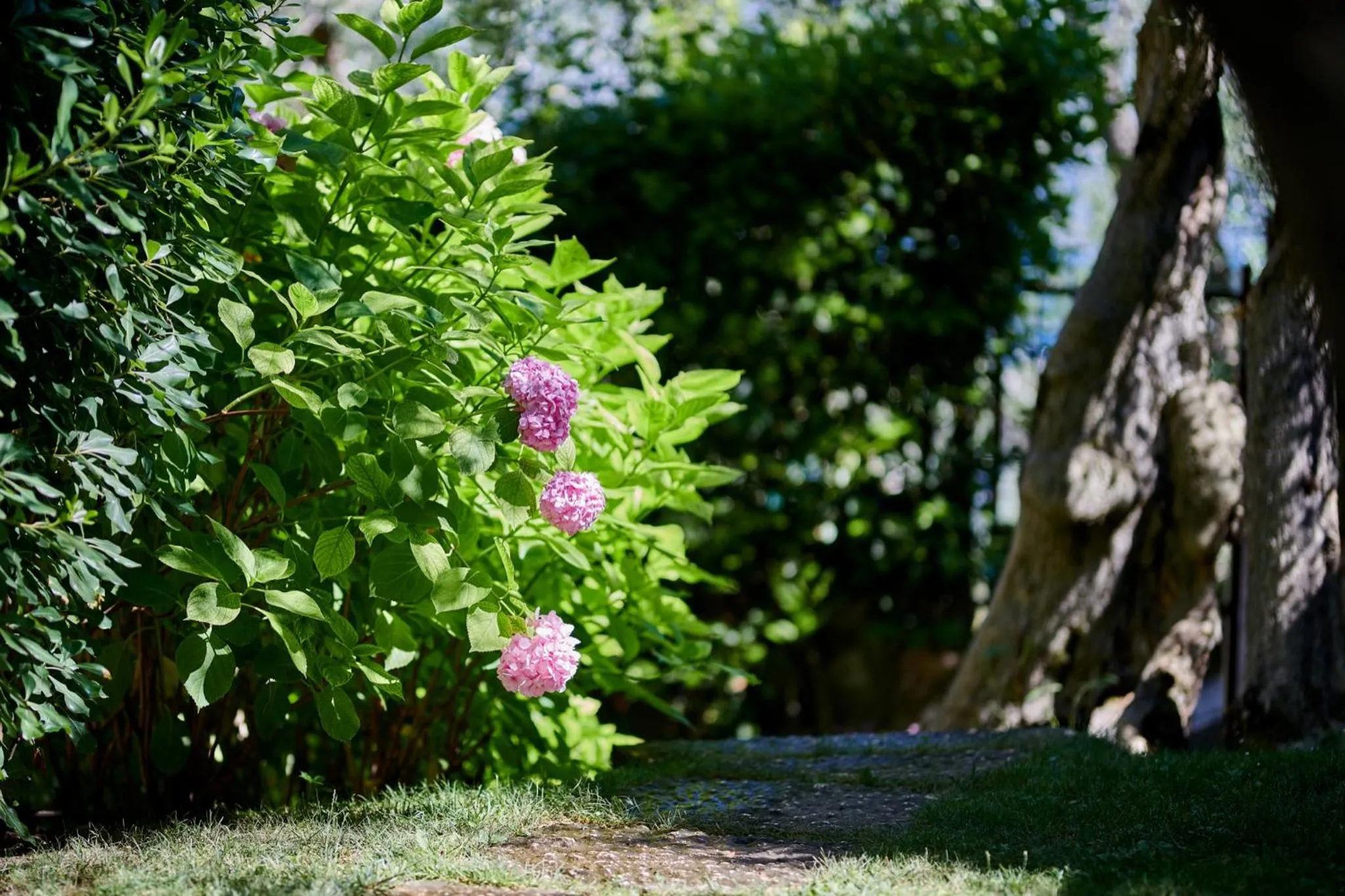 Garden view in Residence Mariù