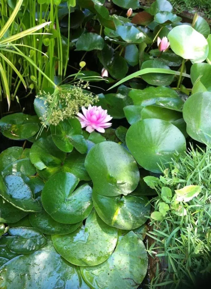 Other in Villa Dei Misteri