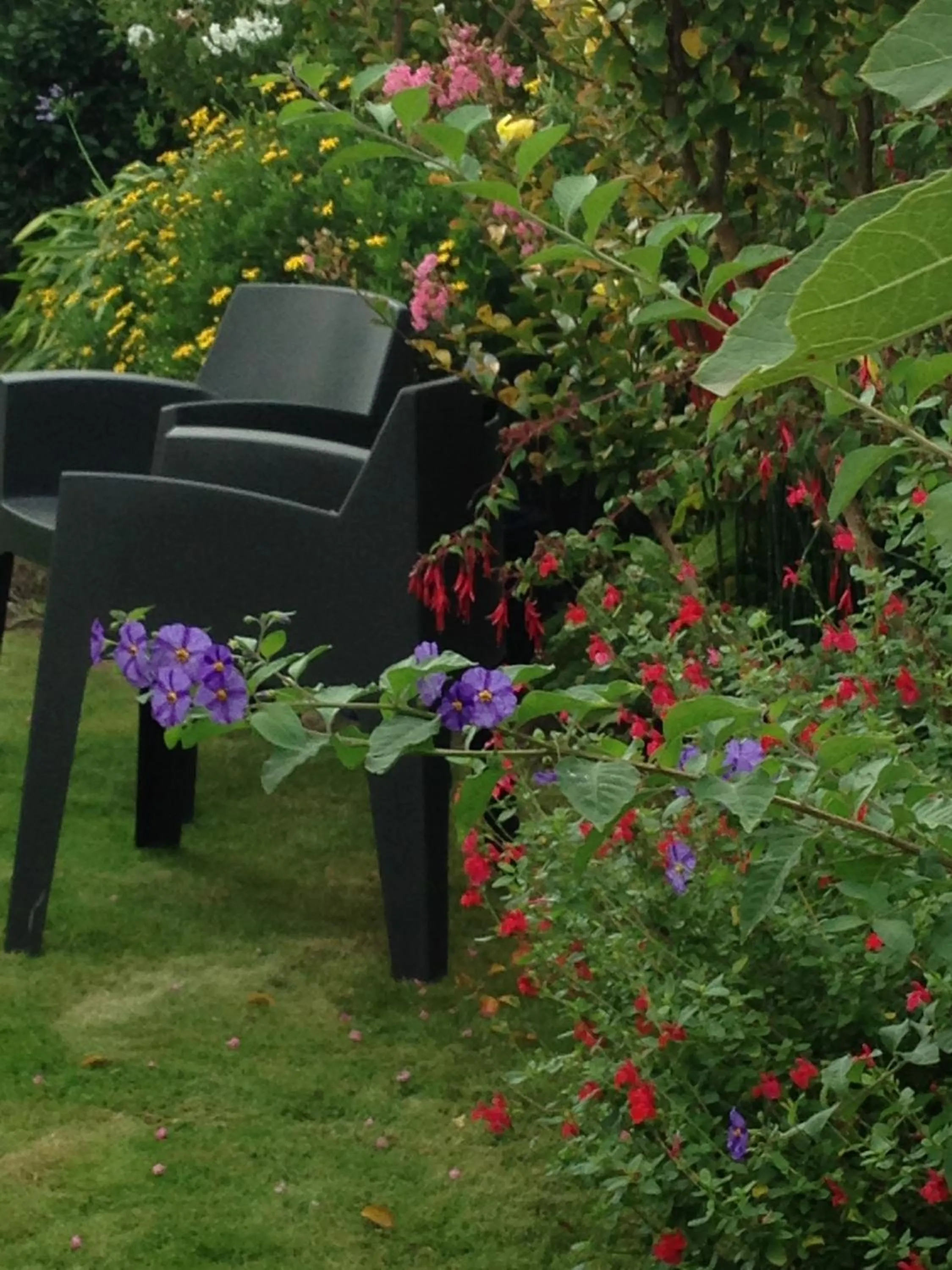 Natural landscape in Ô'Maxethel