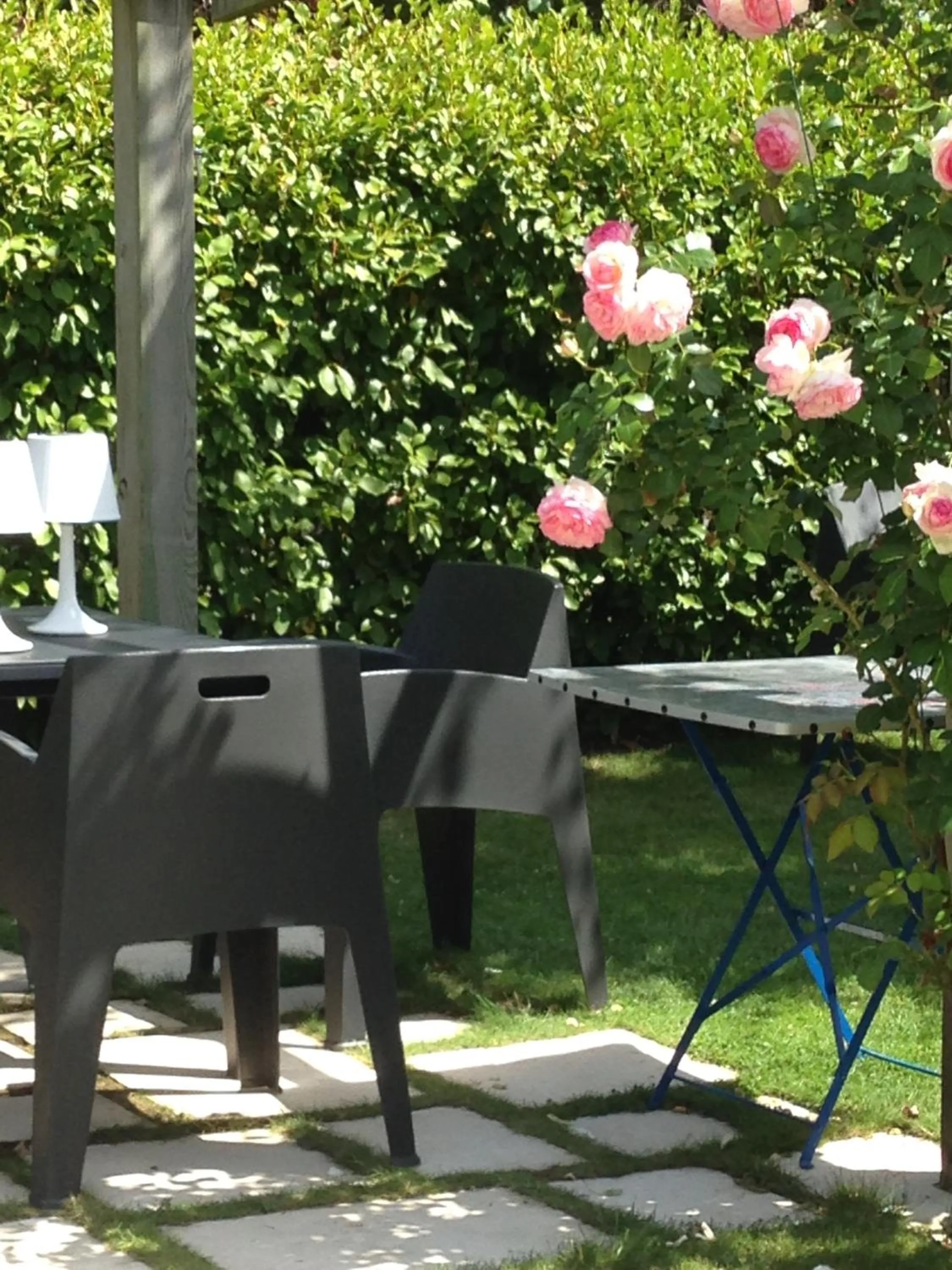 Garden in Ô'Maxethel