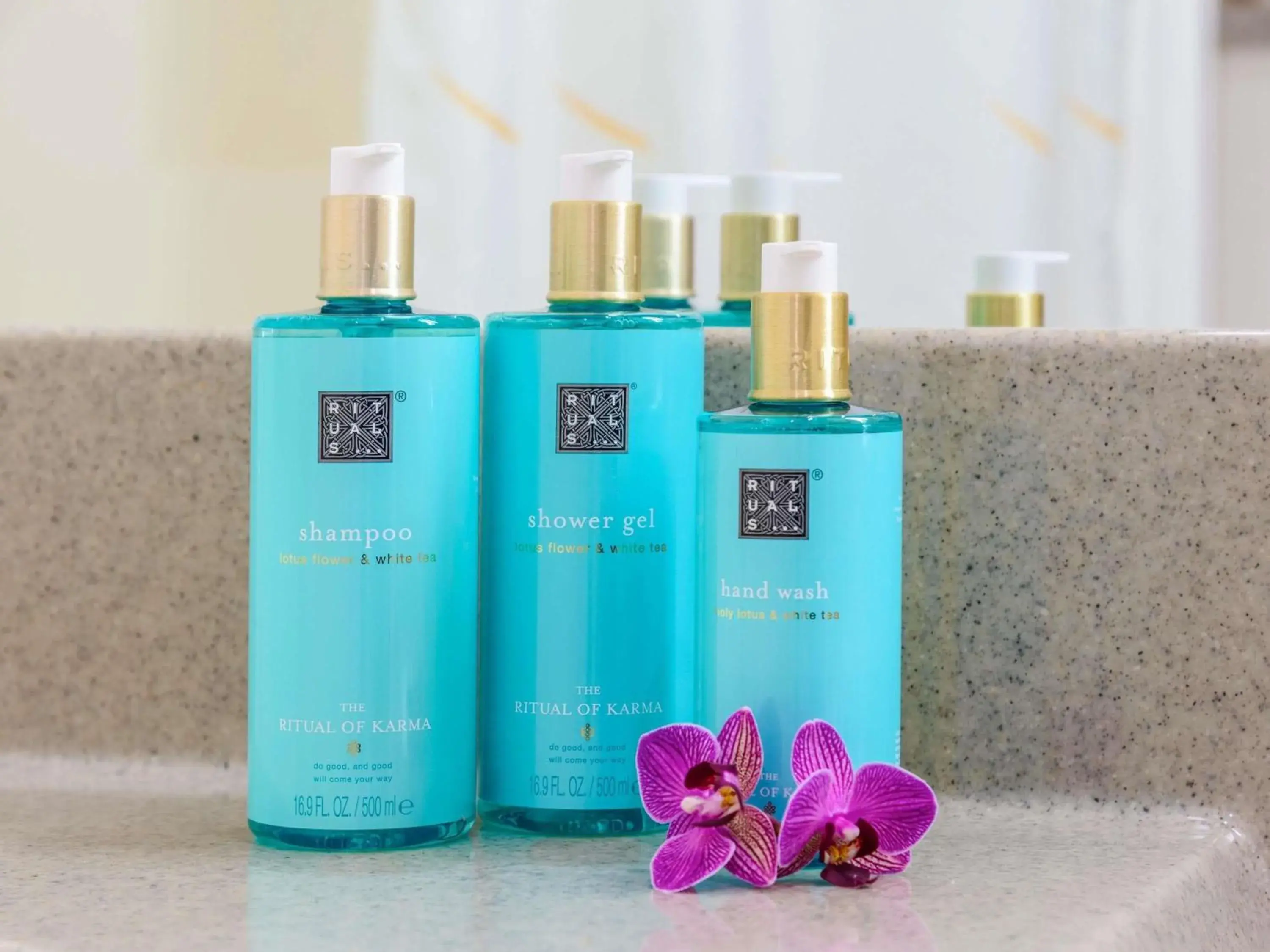 Executive Double Room in Novotel Torino Corso Giulio Cesare Executive Double Room in Novotel Torino Corso Giulio Cesare