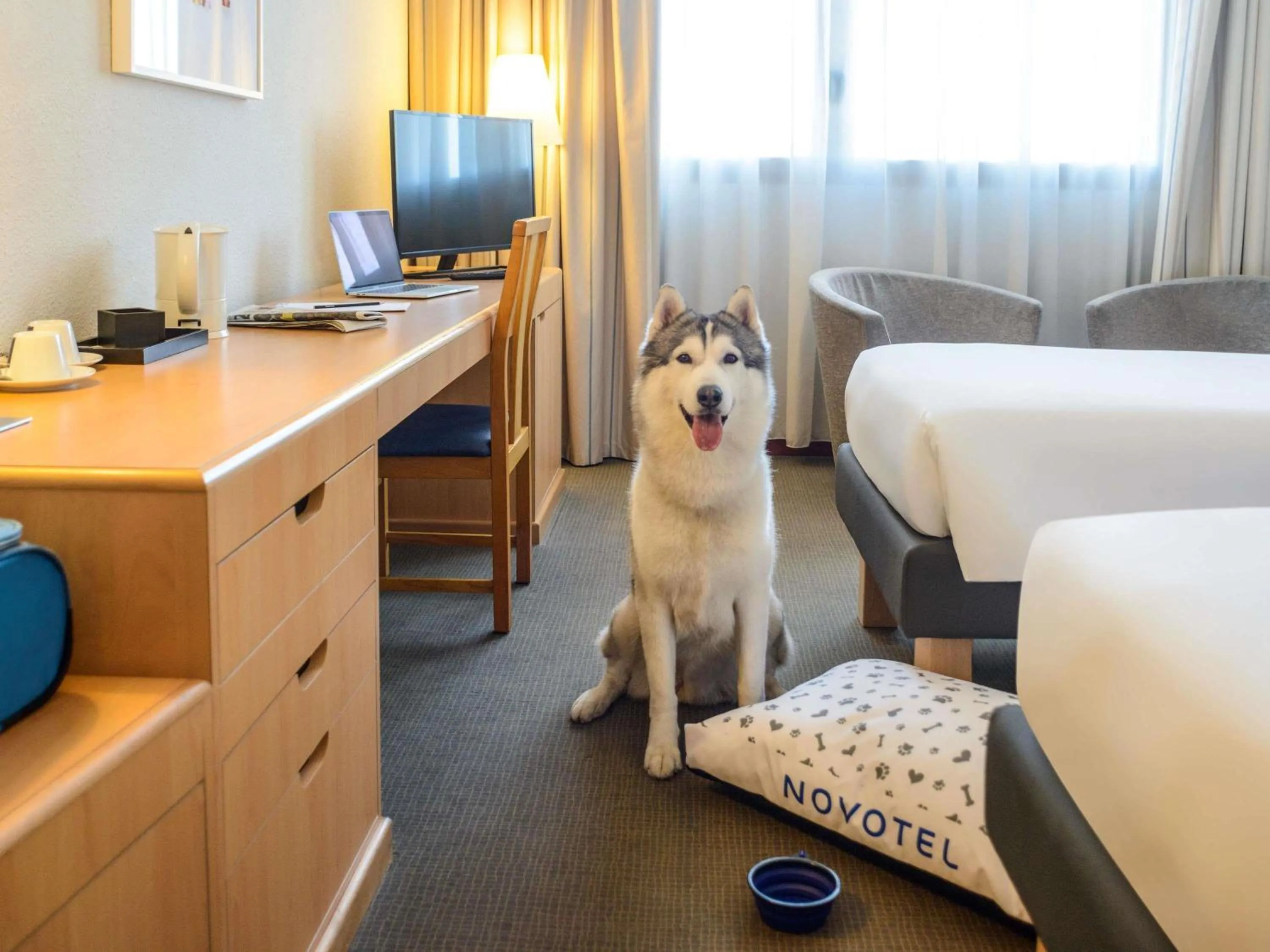 Bedroom, Bed in Novotel Torino Corso Giulio Cesare