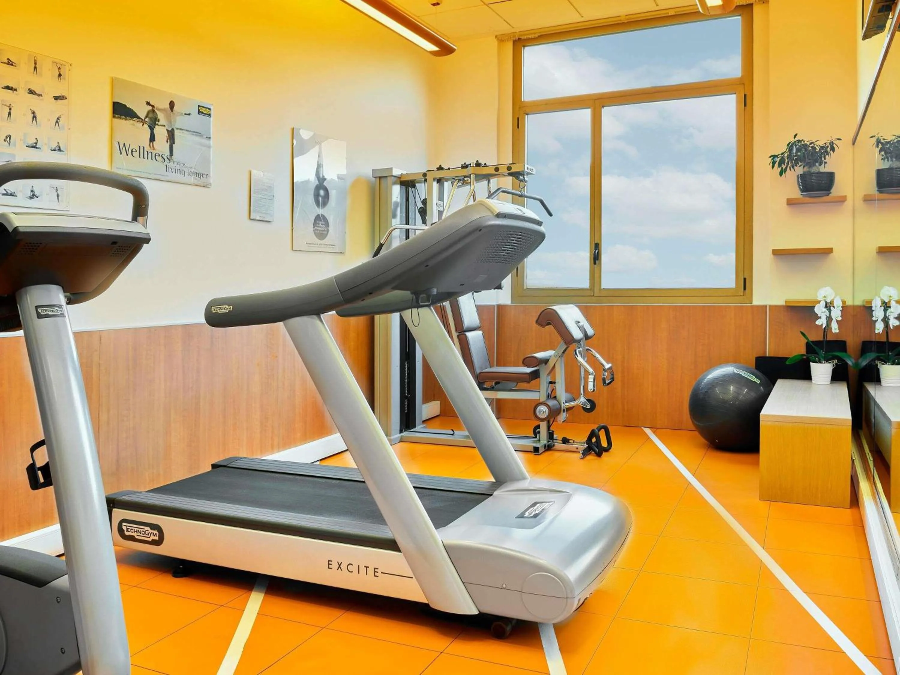 Fitness centre/facilities in Novotel Torino Corso Giulio Cesare