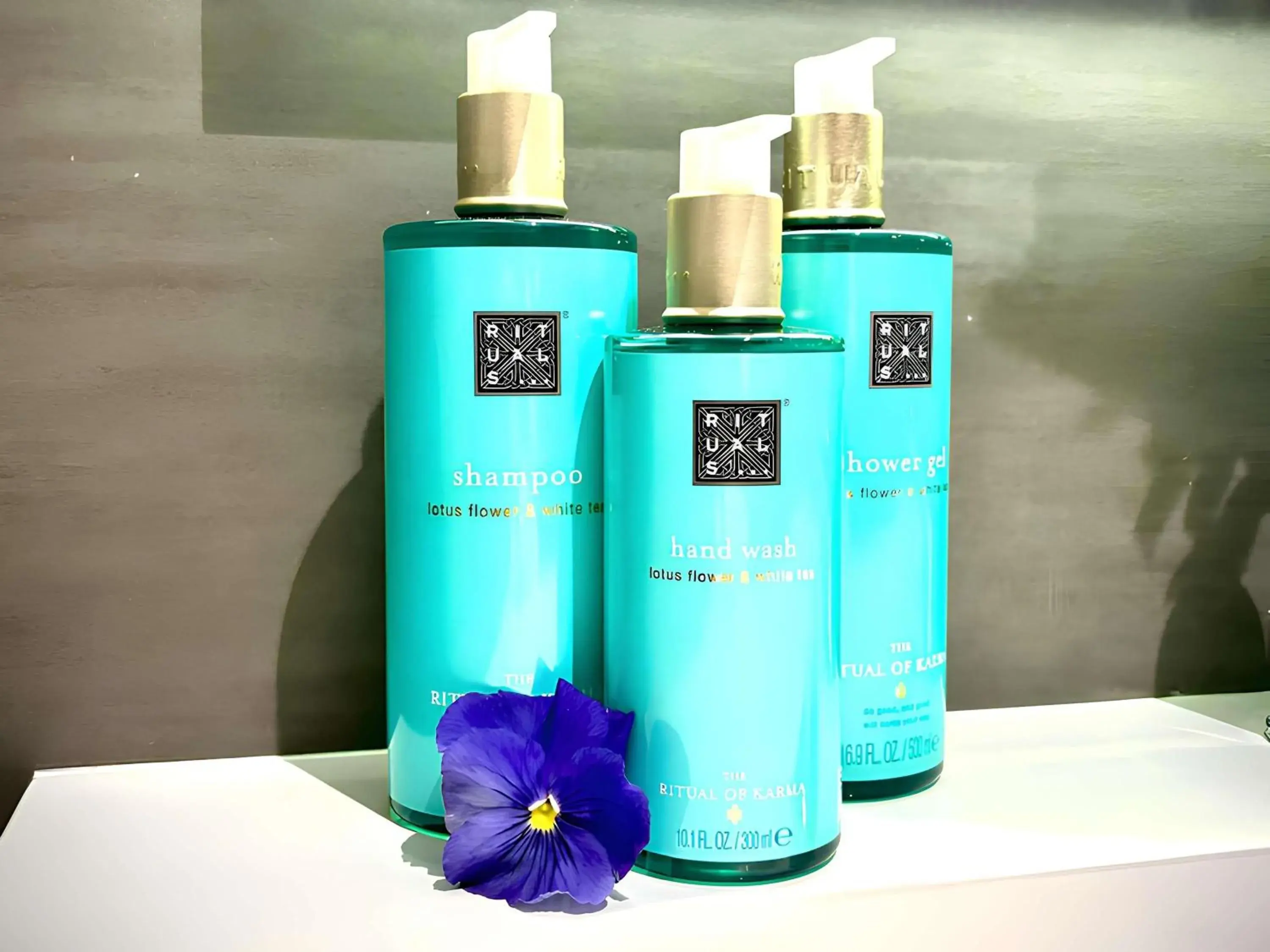 Executive Double Room with Sofa Bed in Novotel Brescia Due Executive Double Room with Sofa Bed in Novotel Brescia Due