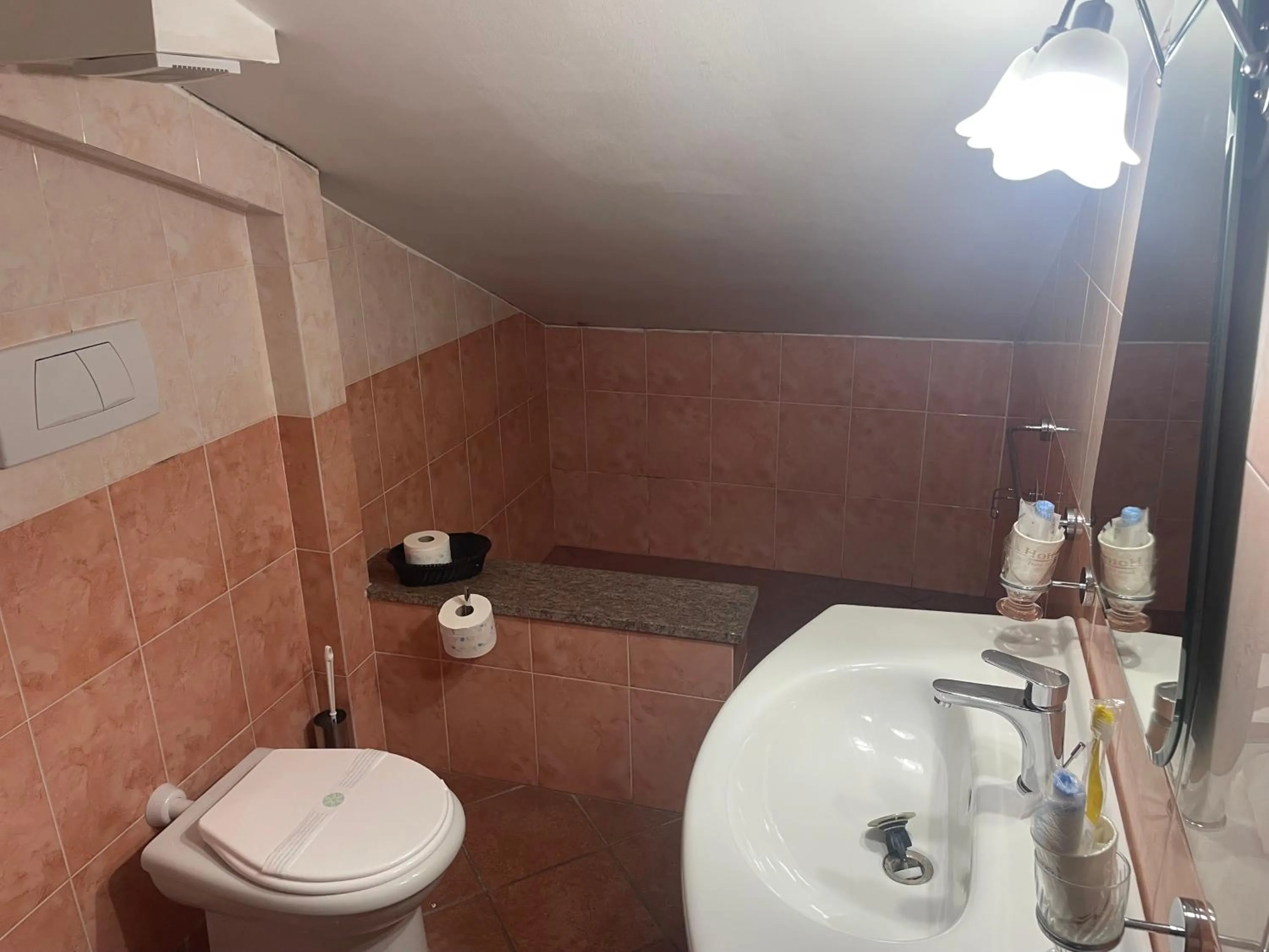 Shower in EURO HOUSE INN airport