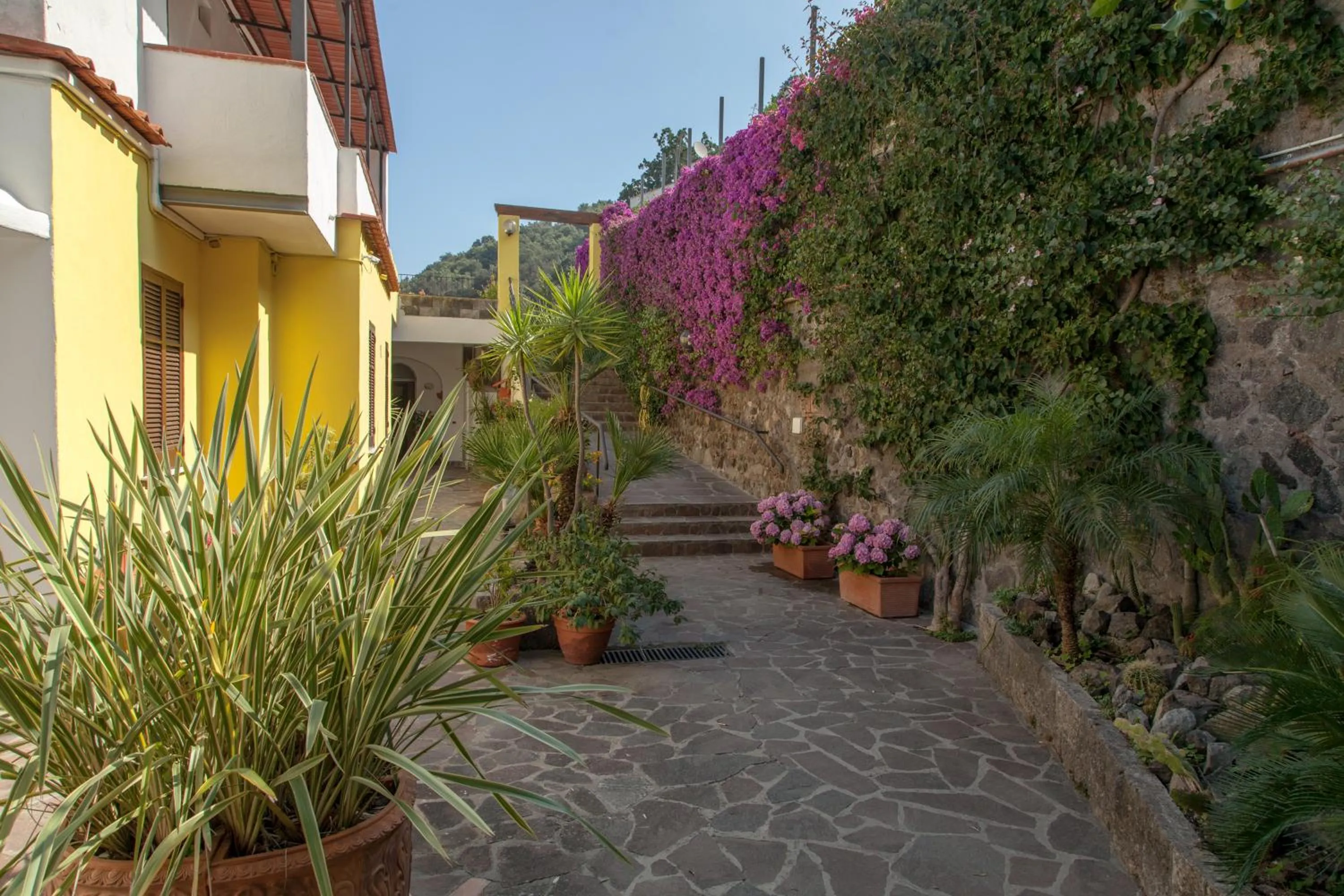 Facade/entrance in Hotel Ape Regina