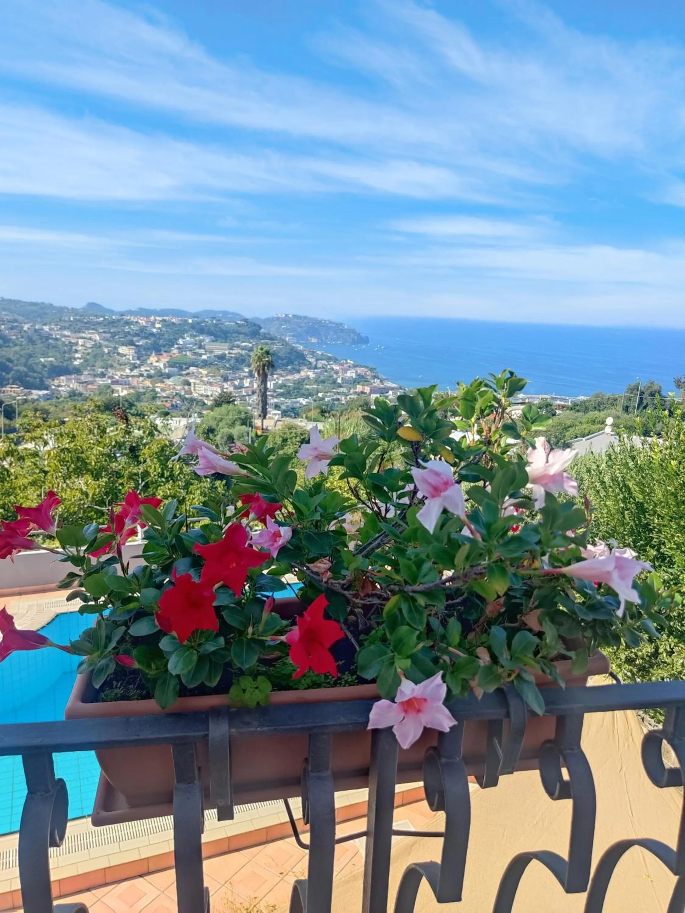 View (from property/room) in Hotel Ape Regina