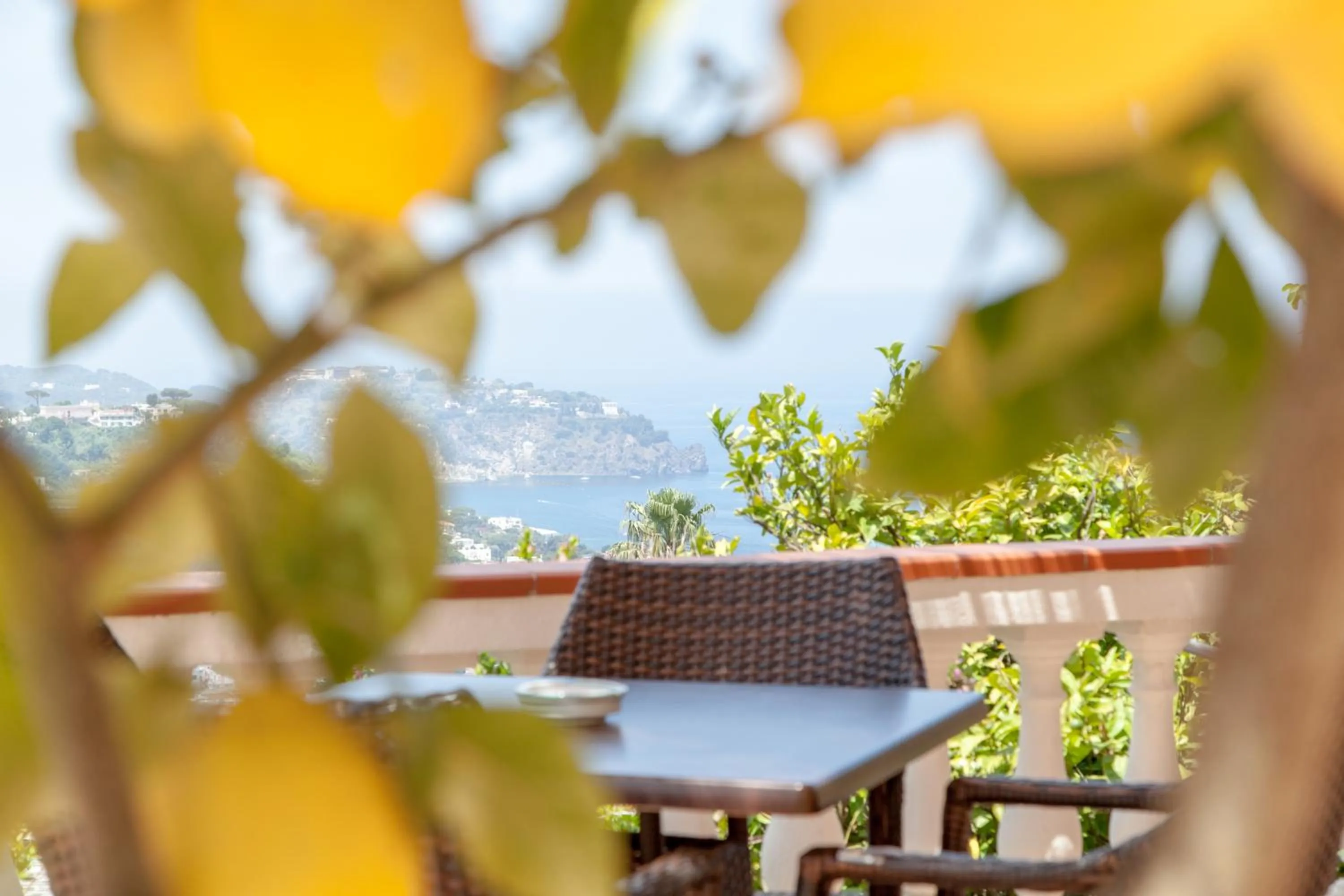 Garden in Hotel Ape Regina