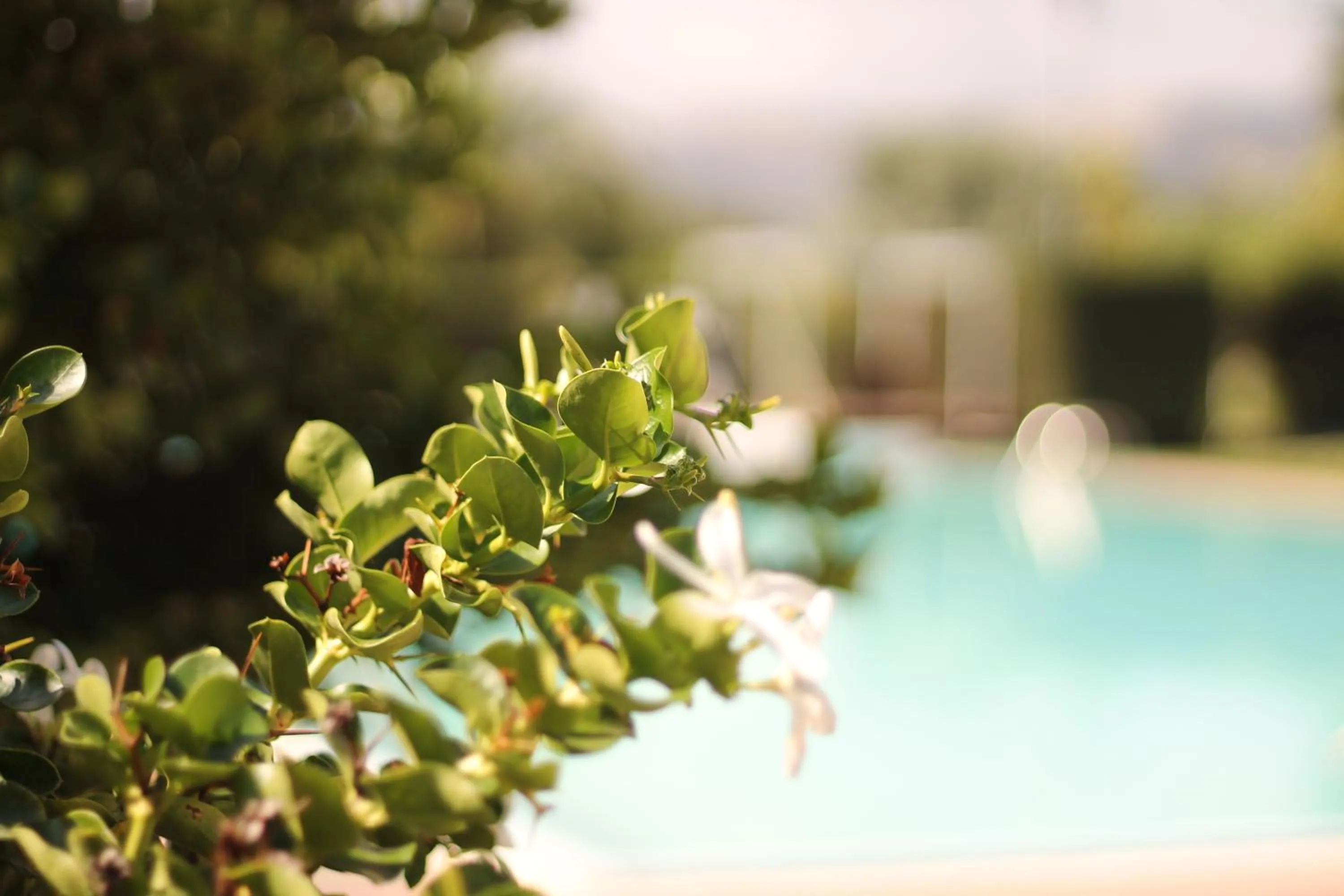 Garden in Valle di Mare Country Resort