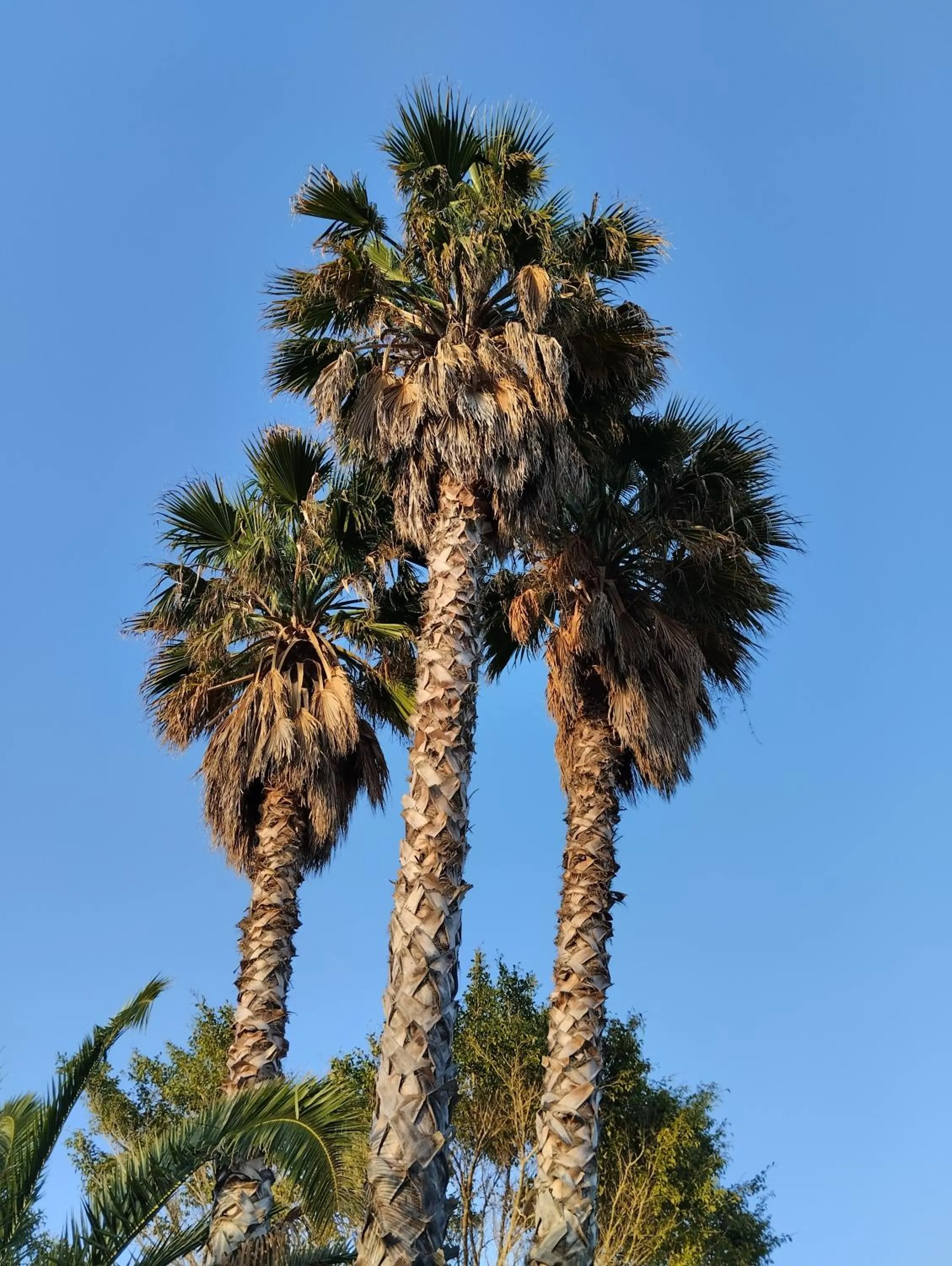 Valle di Mare Country Resort