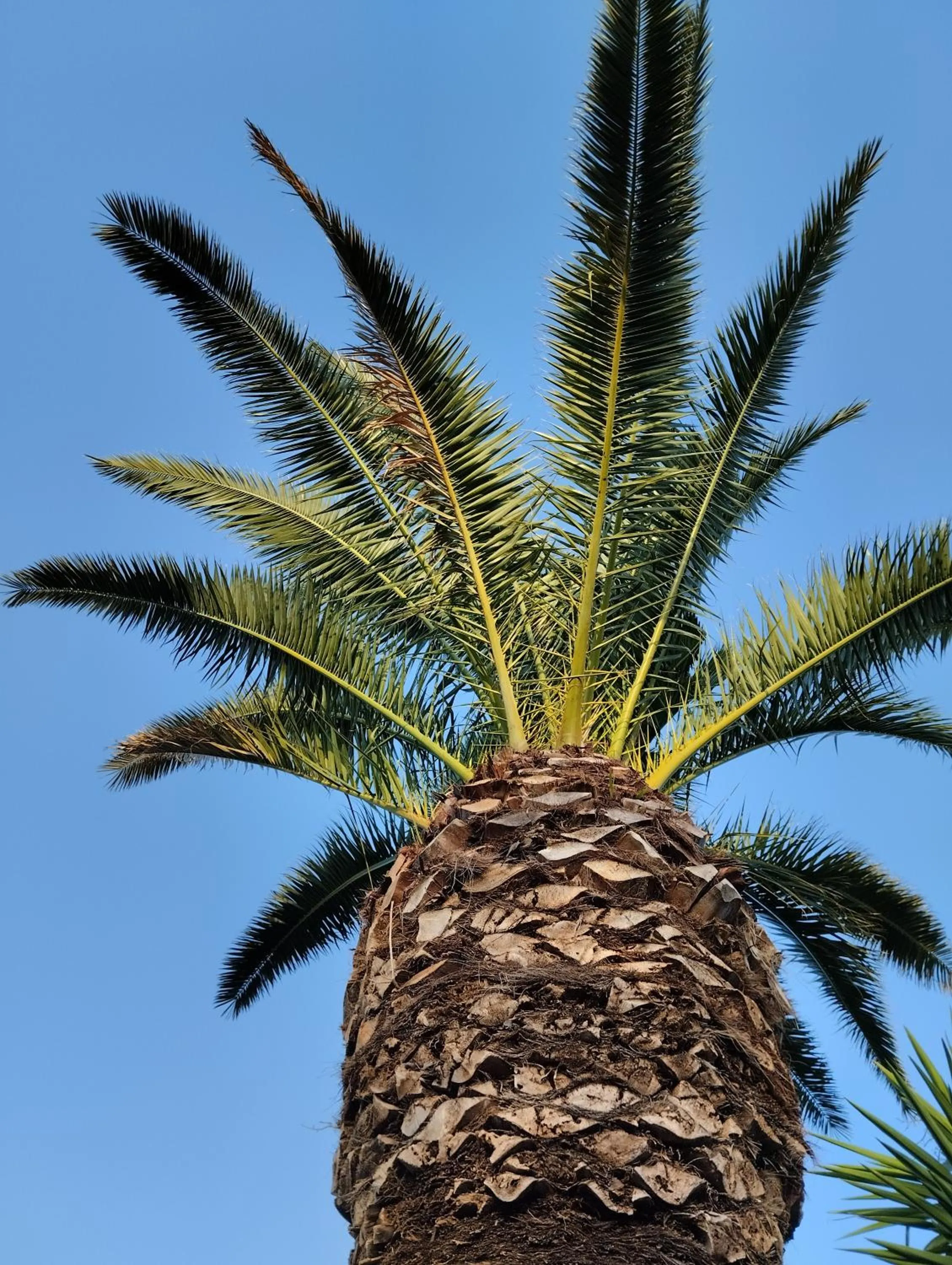 Valle di Mare Country Resort