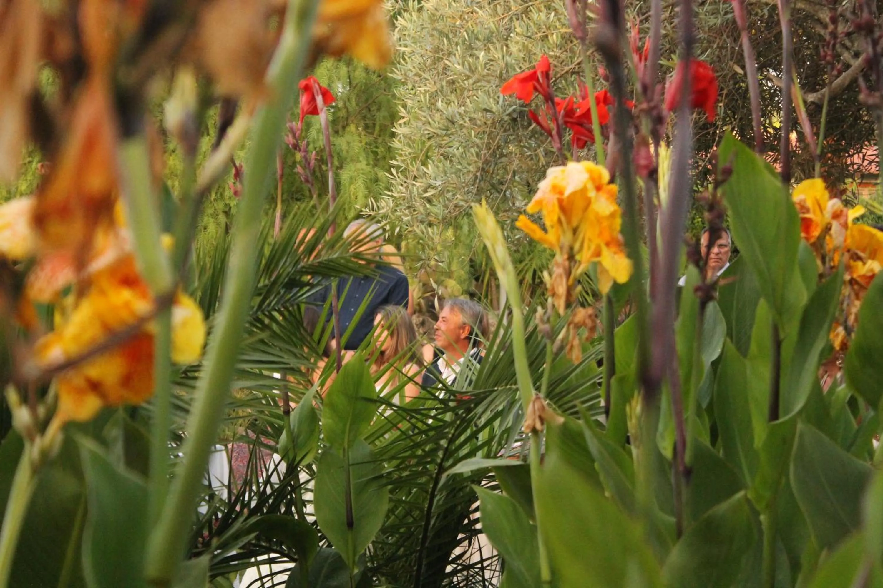 Garden in Valle di Mare Country Resort