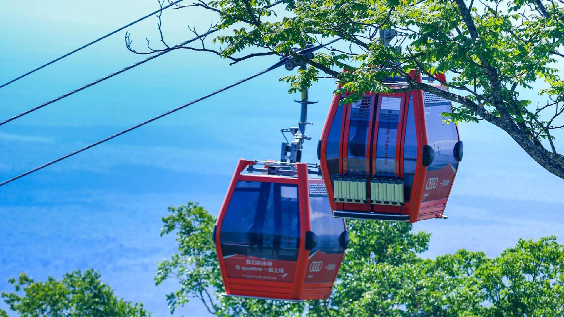 Other in Park Hyatt Changbaishan