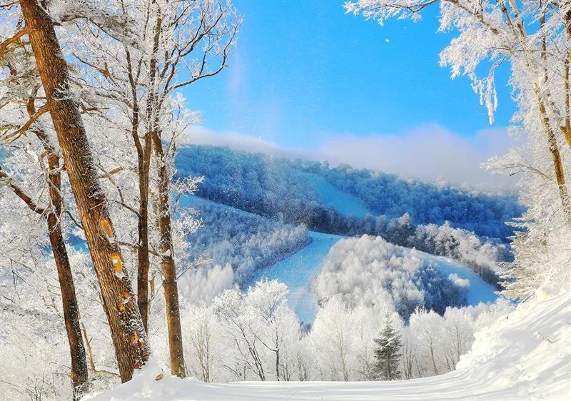Hyatt Regency Changbaishan
