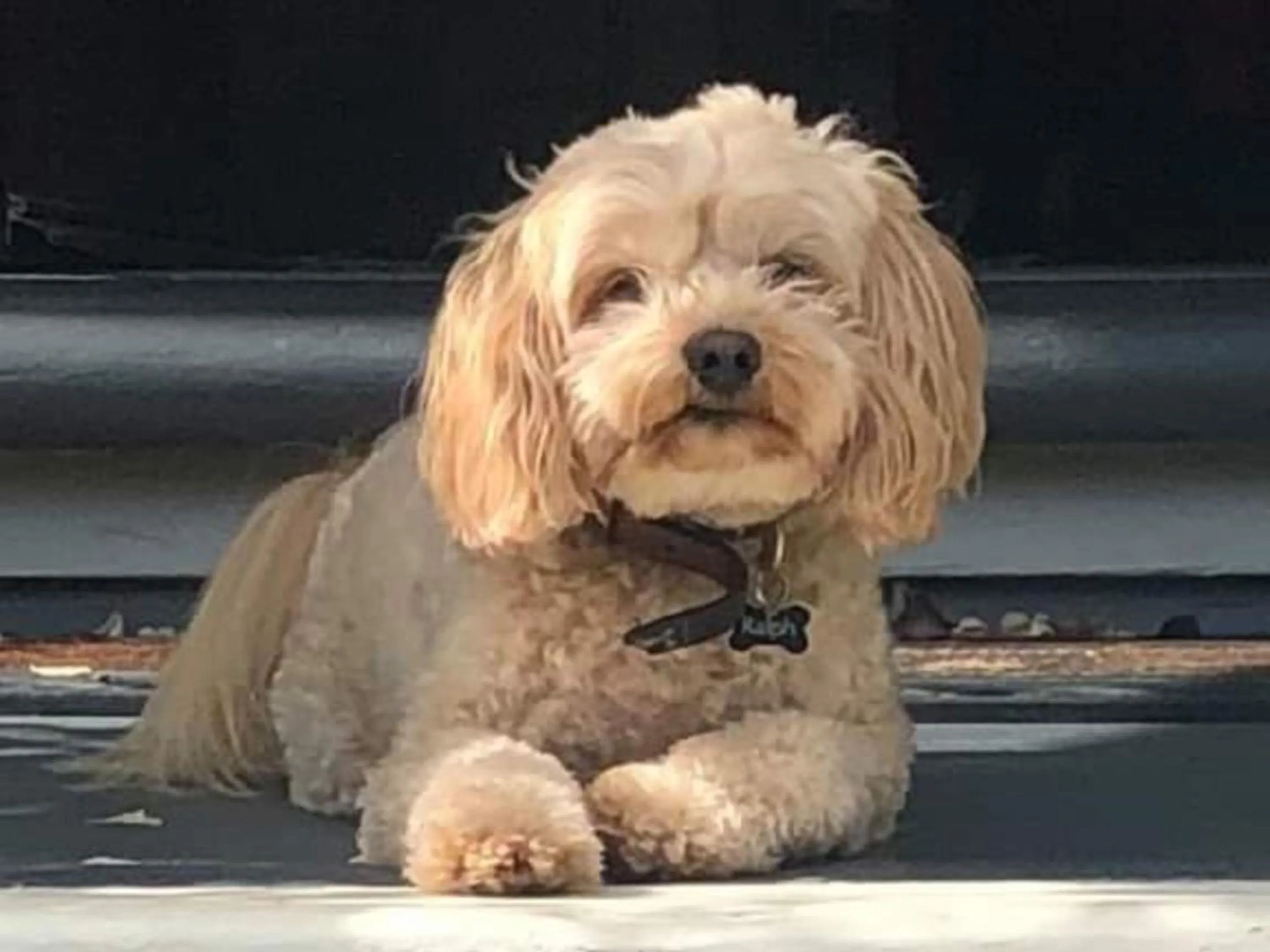 Staff in Lilac Rose Boutique Bed and Breakfast