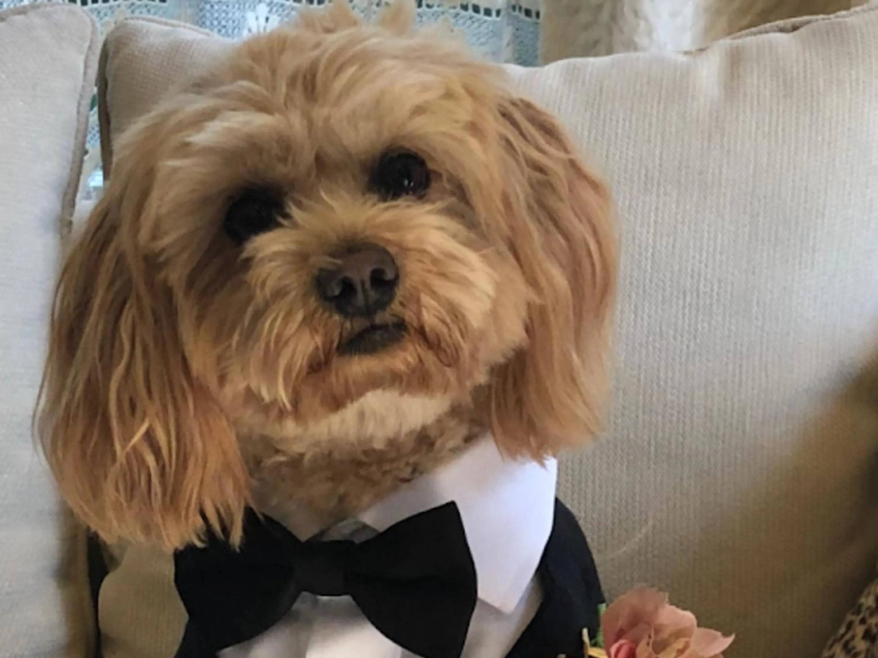 Staff in Lilac Rose Boutique Bed and Breakfast