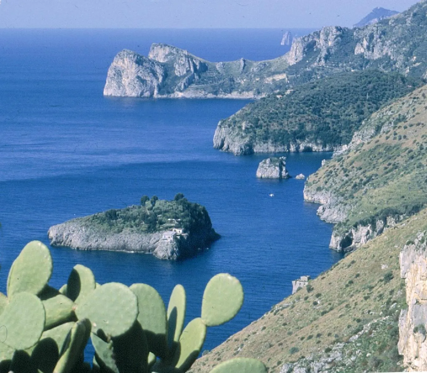 Natural landscape in Villaggio Residence Nettuno