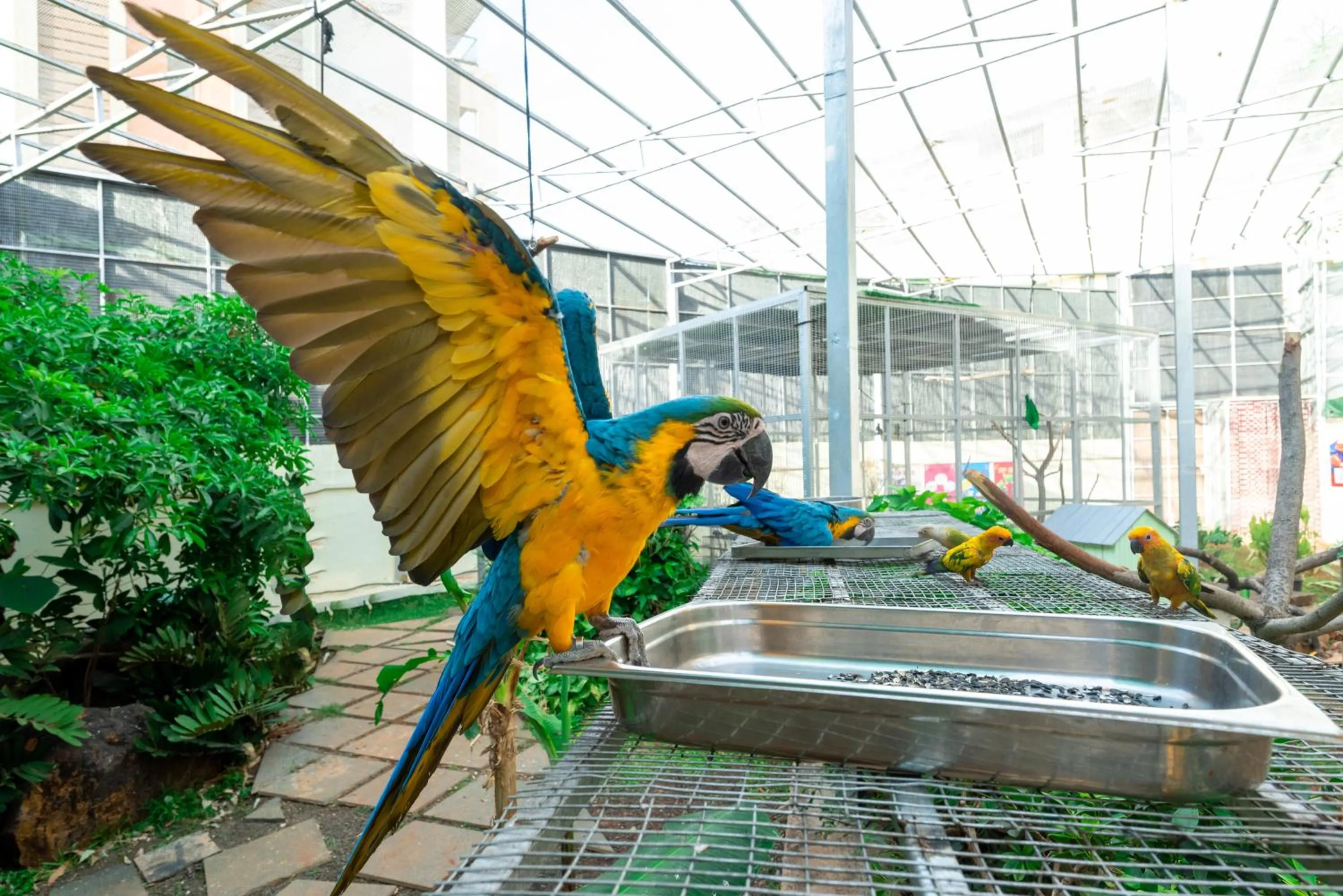 Activities in Camel Valley Resort & Spa, Igatpuri