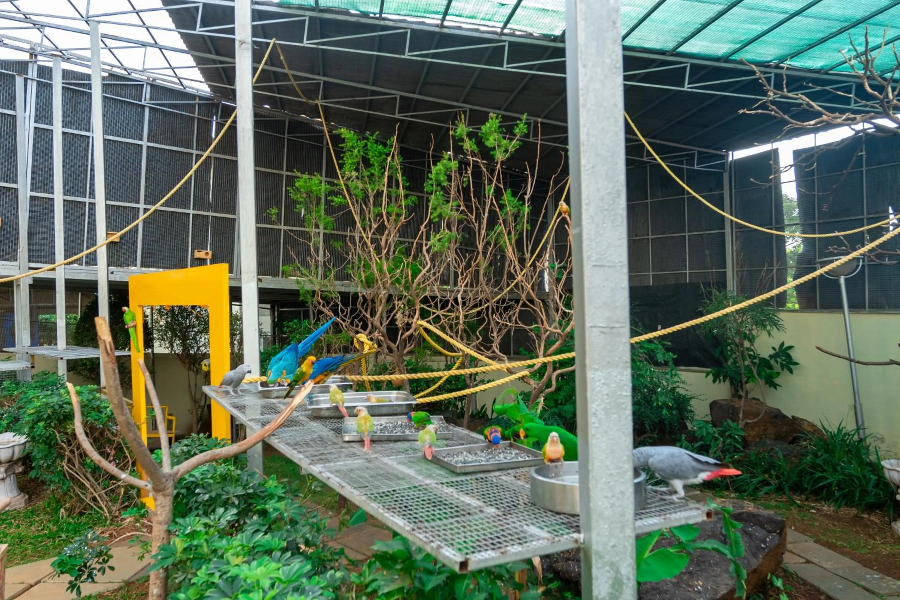 Activities in Camel Valley Resort & Spa, Igatpuri