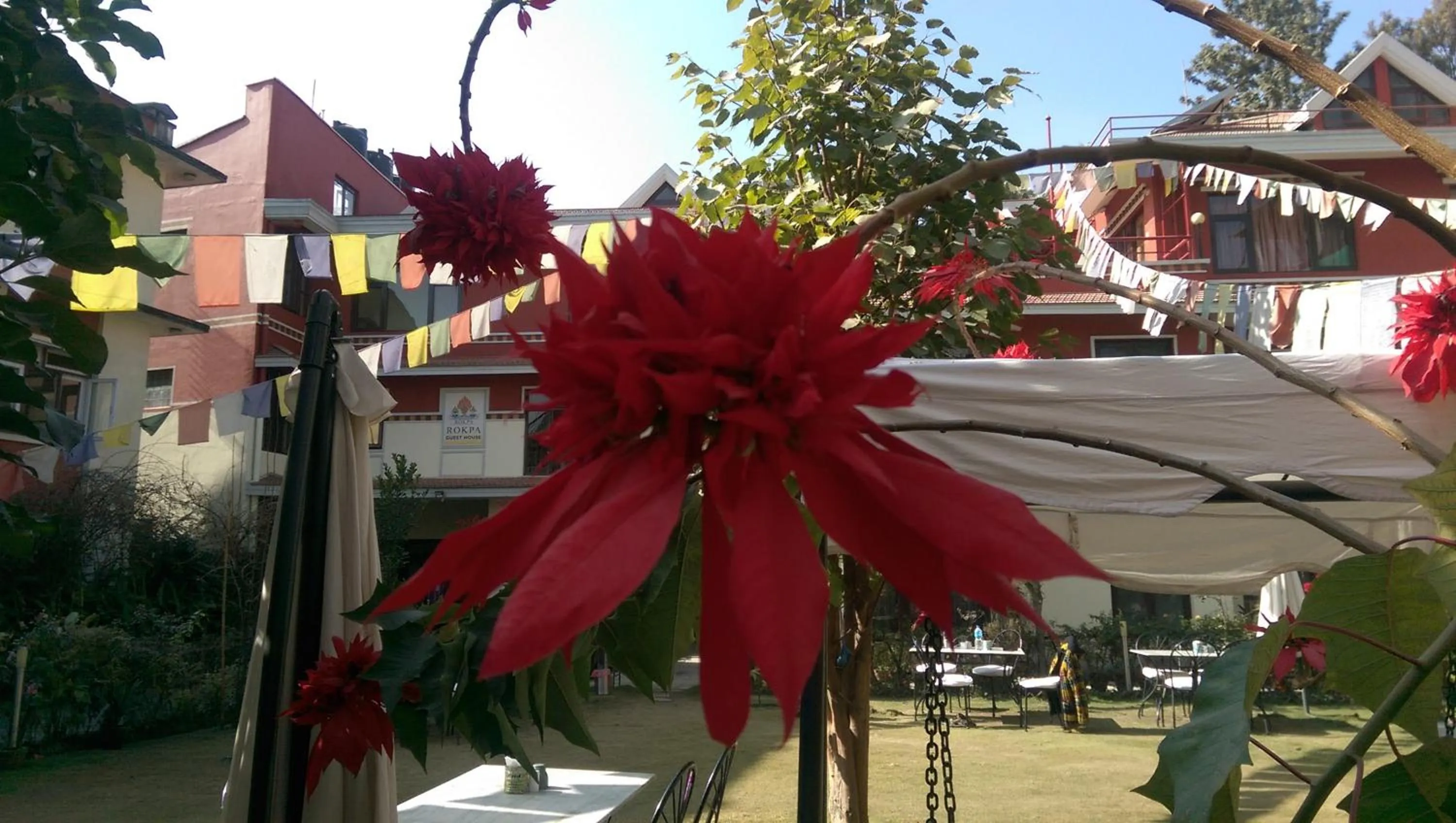 Garden in ROKPA Guest House