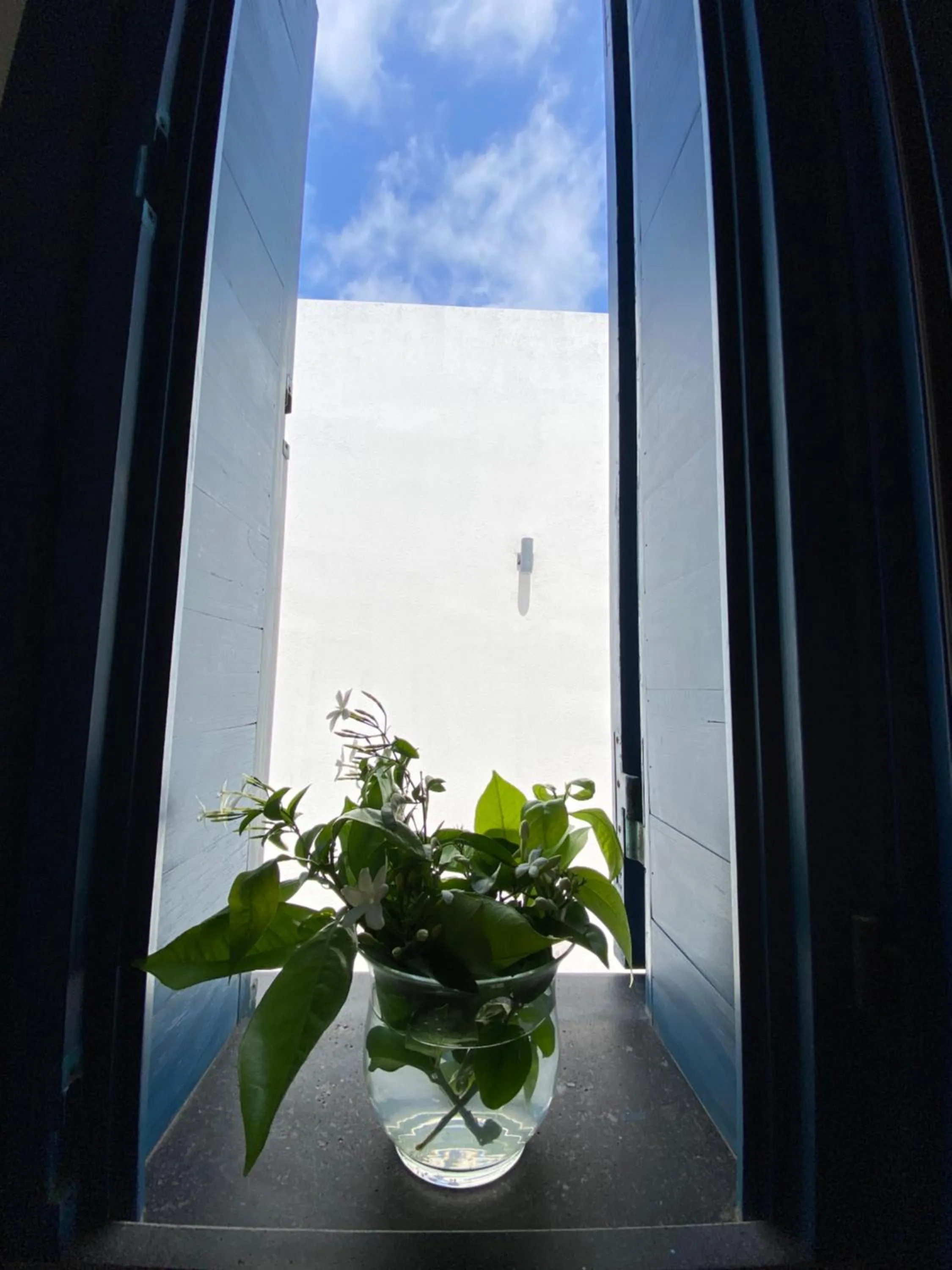 View (from property/room) in Hotel Aura