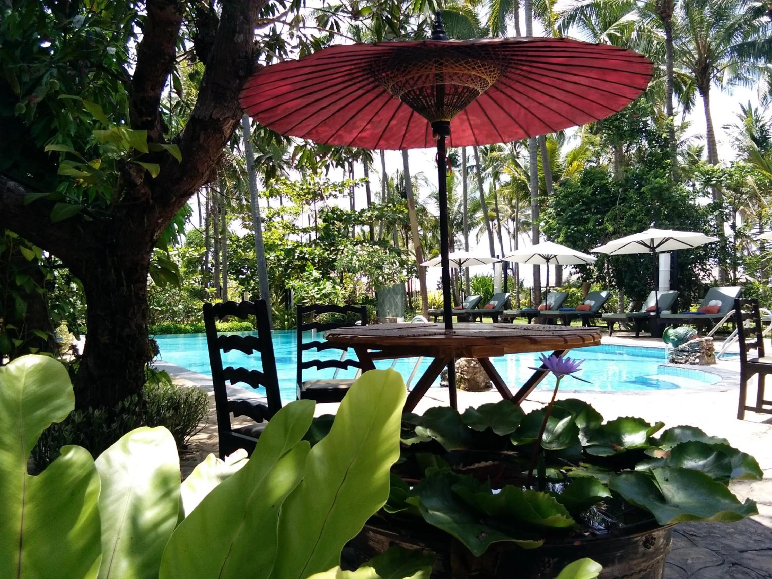 Restaurant/places to eat in Emerald Sea Resort