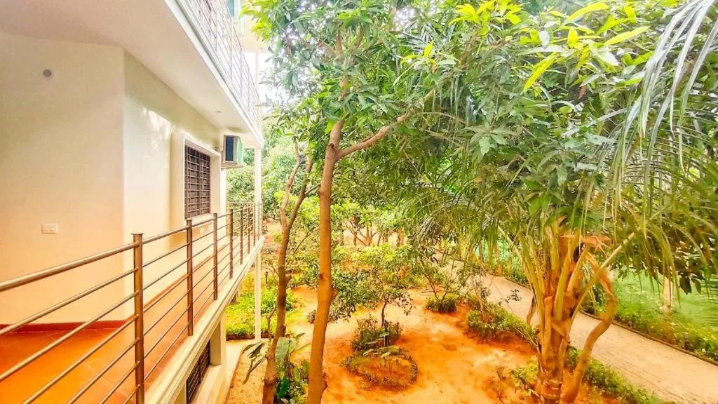 Garden view in The Canopy Guest House