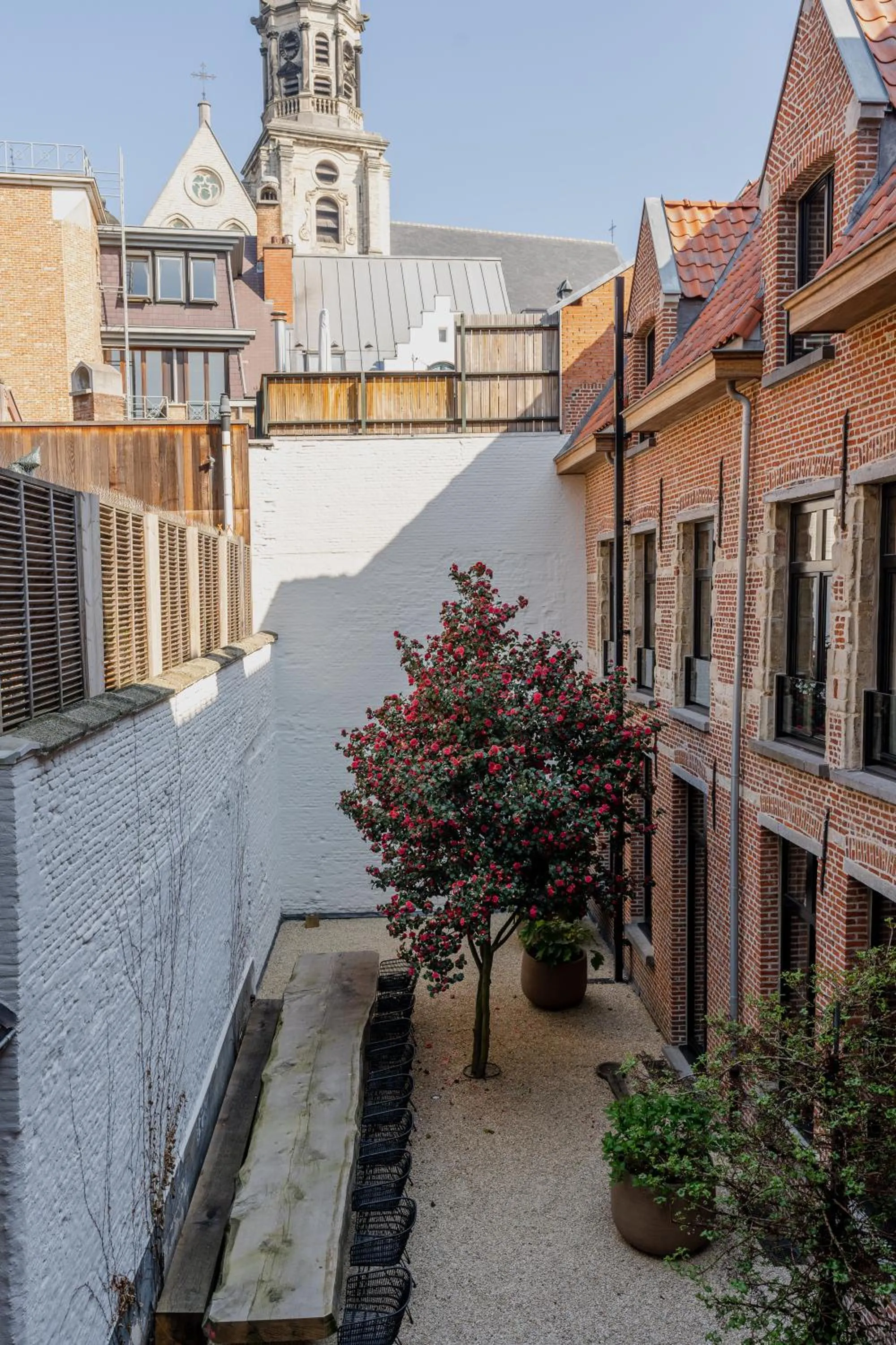 Garden in BTFL Living, Luxury Residences Antwerp, Zirkstraat