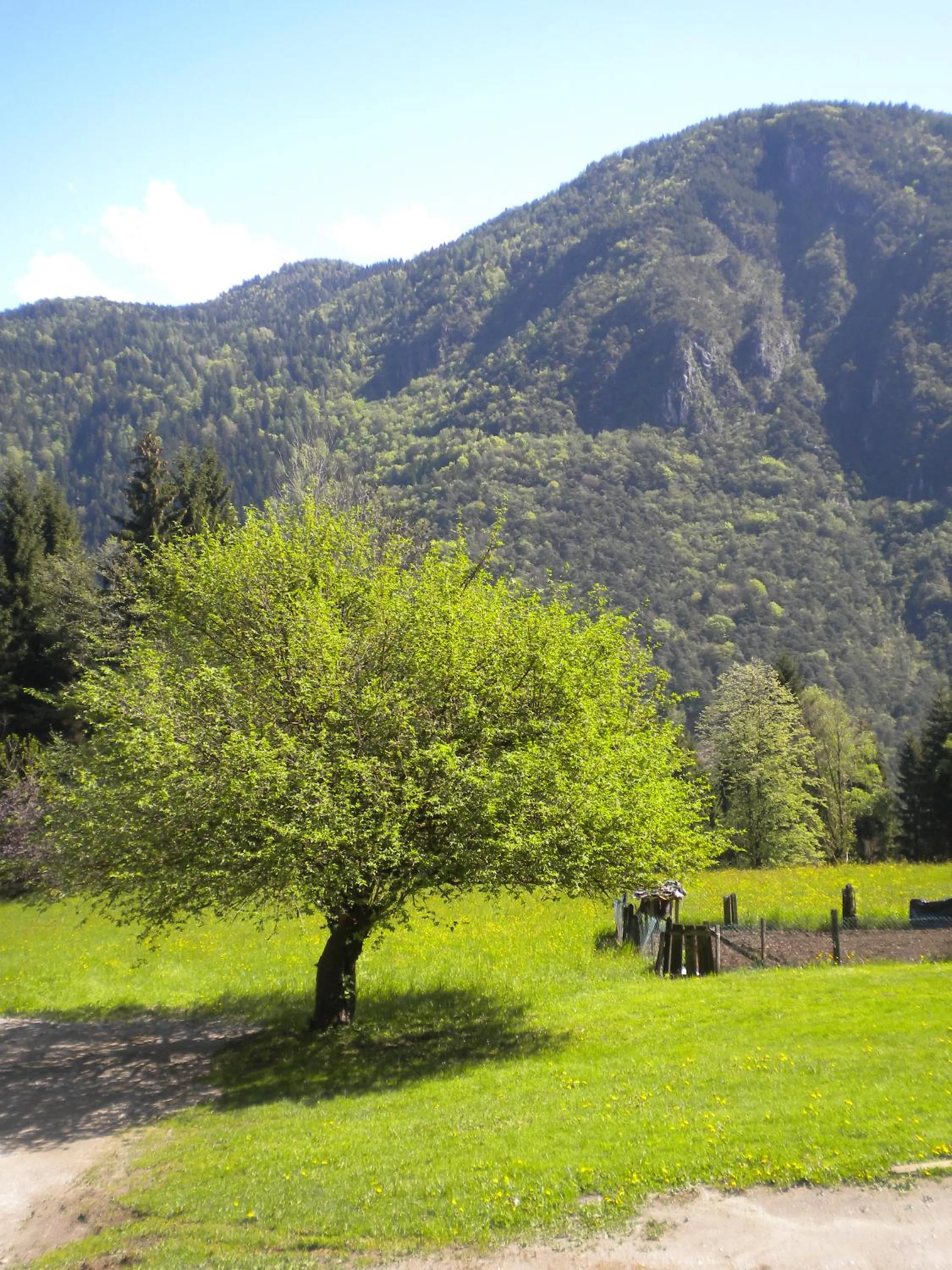 Summer in Bed and Breakfast Cappeler