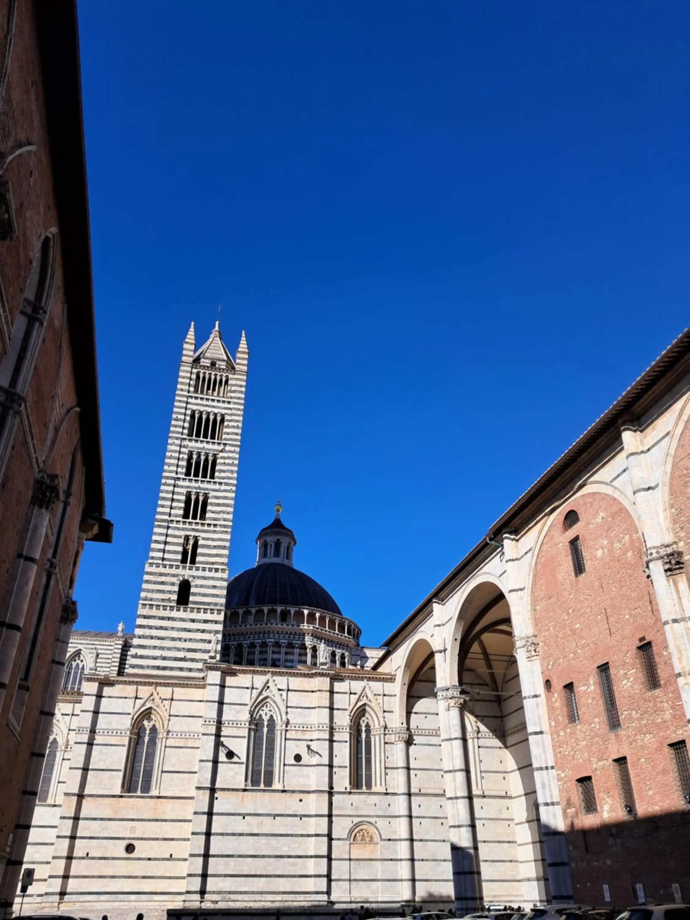 Day in Hotel Minerva