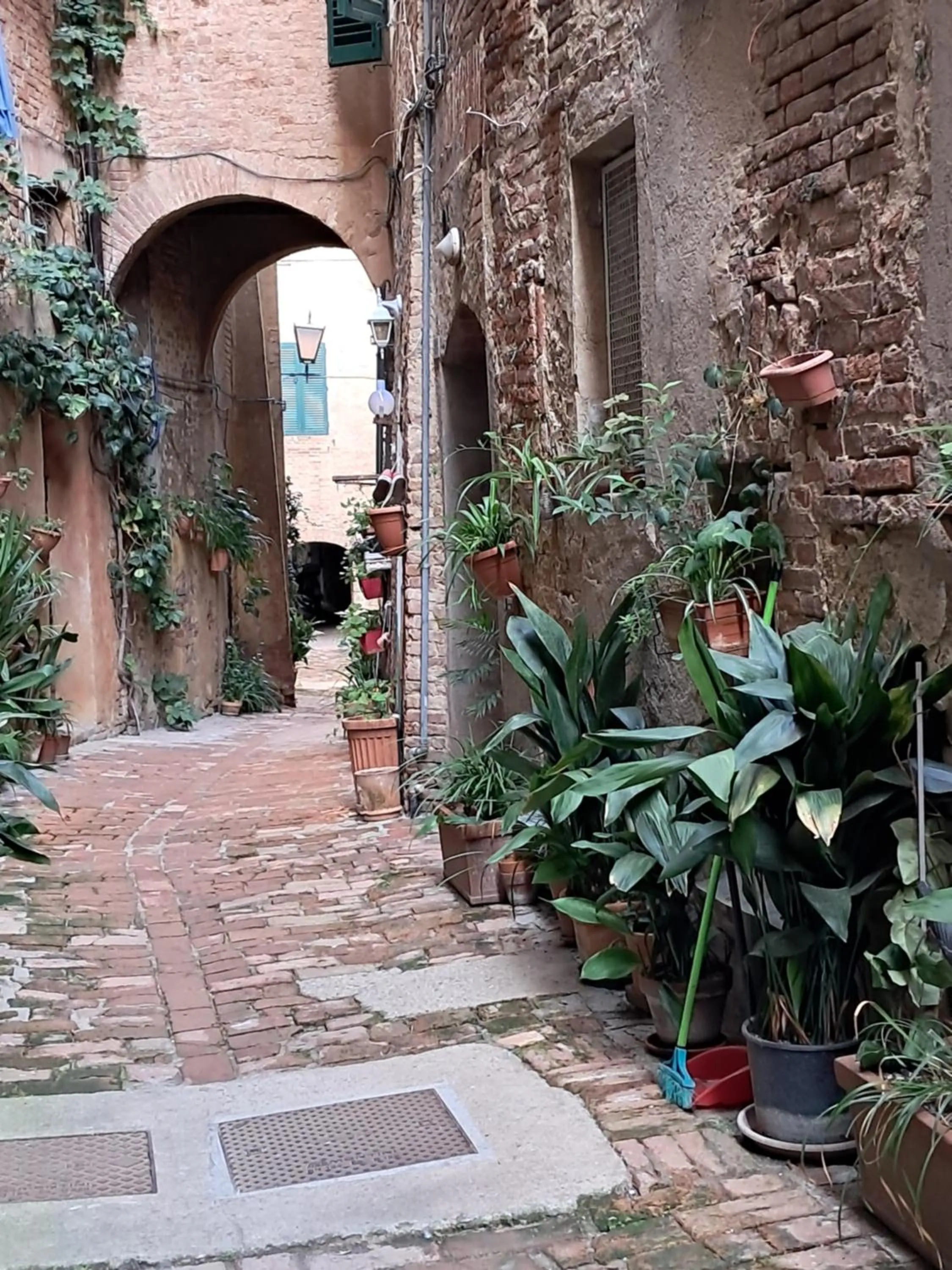 Nearby landmark in Hotel Minerva