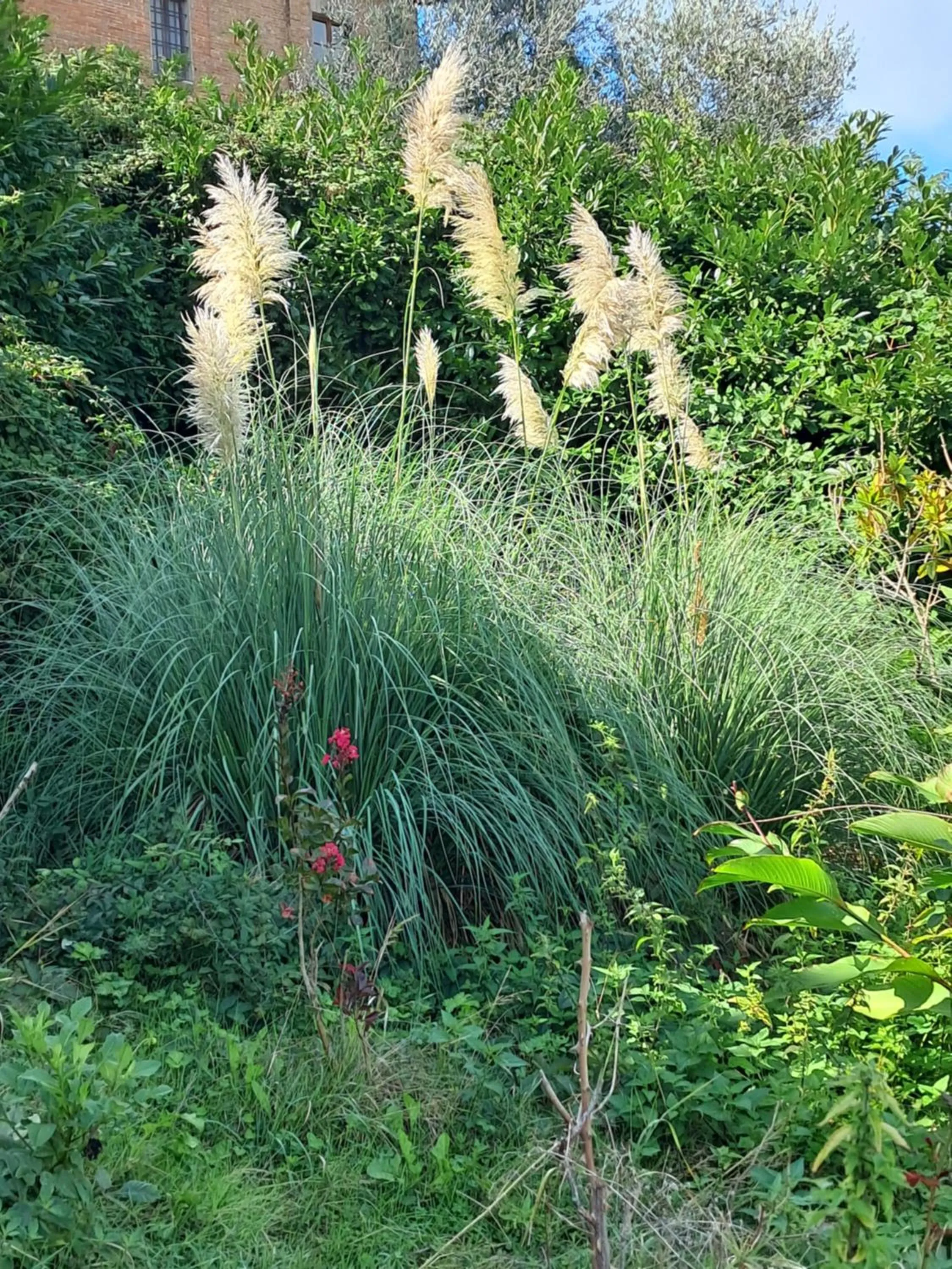 Nearby landmark in Hotel Minerva
