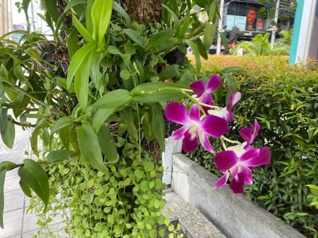 ViVi Avenue Thonglor