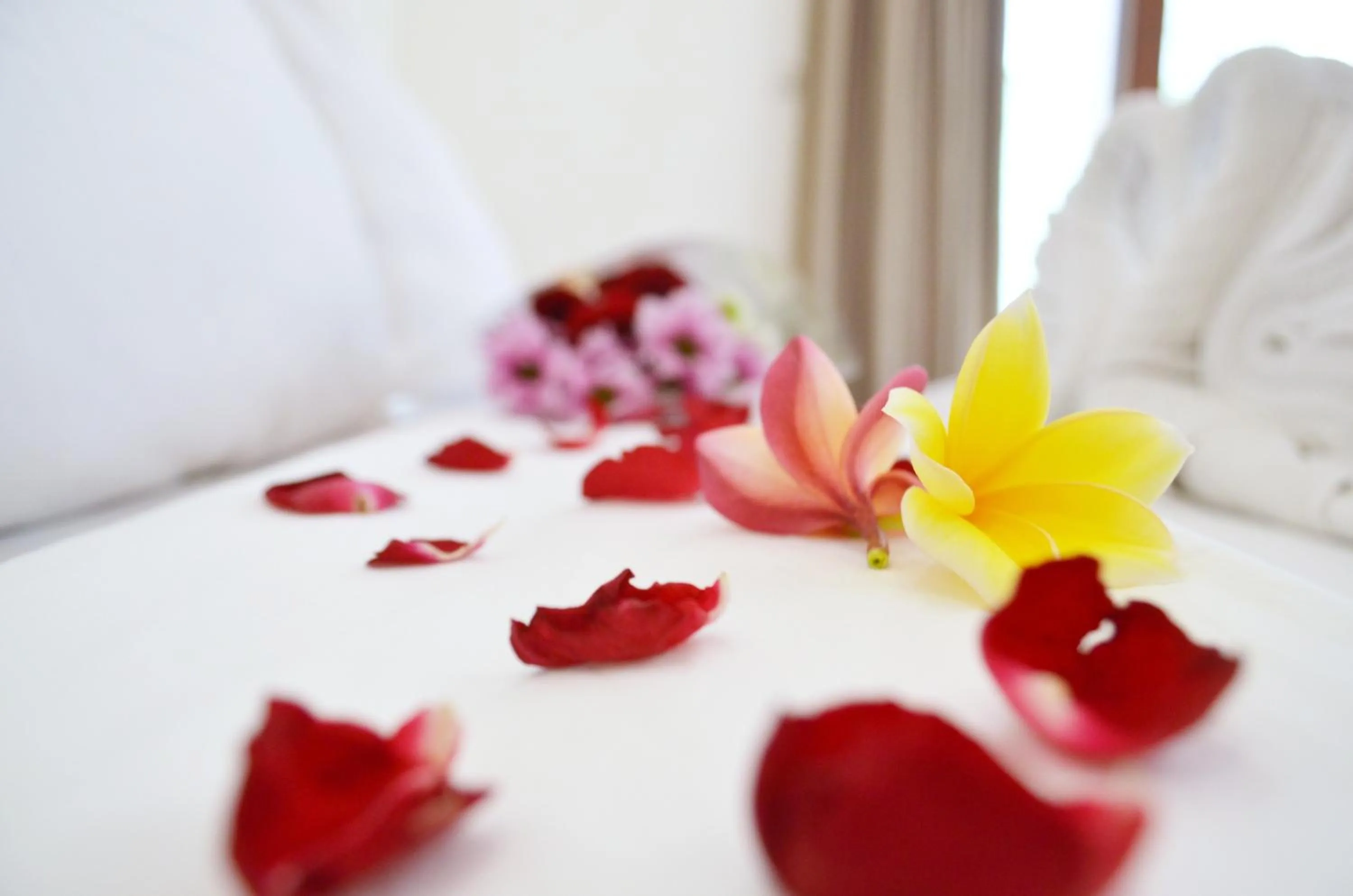 Decorative detail, Bed in Jas Green Villas and Spa