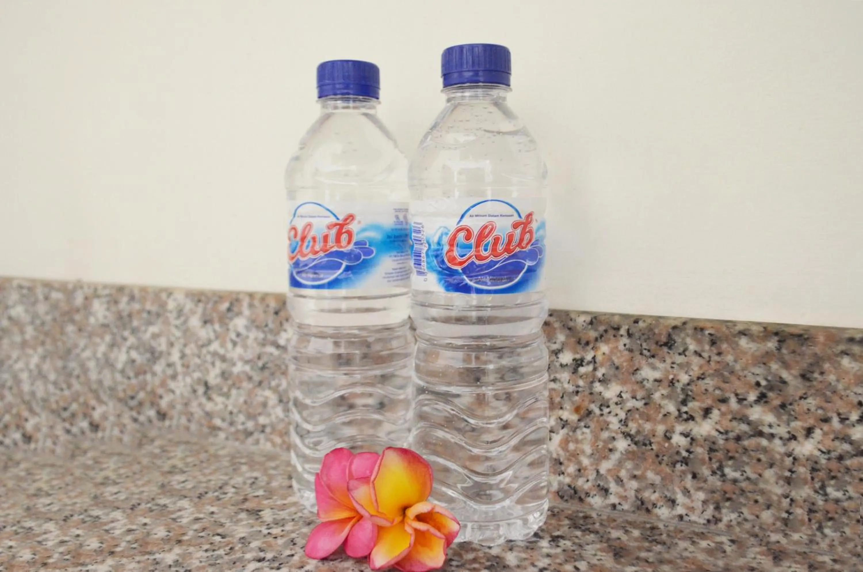 Coffee/tea facilities in Jas Green Villas and Spa