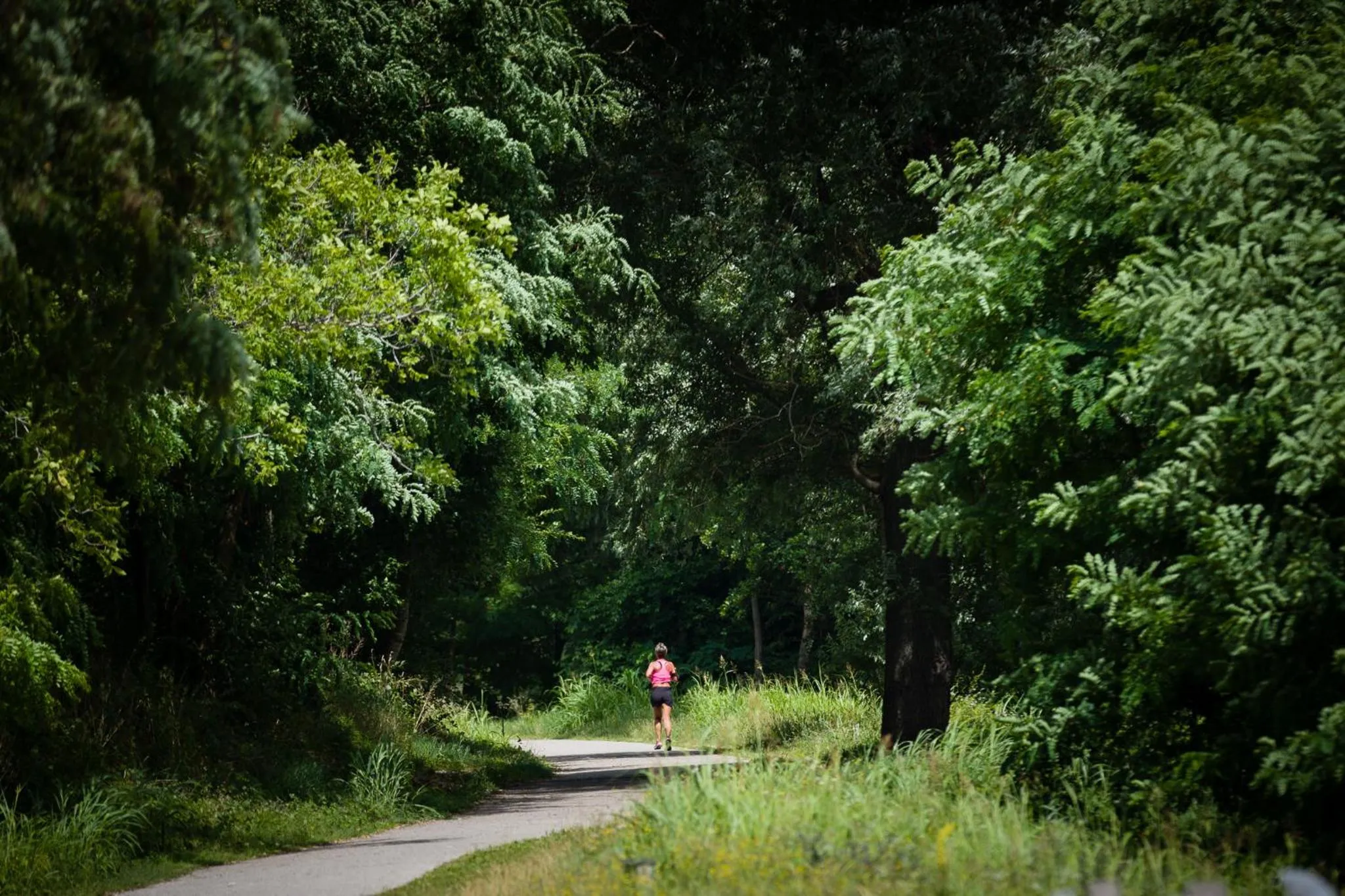 Spring in Contra' Contarini