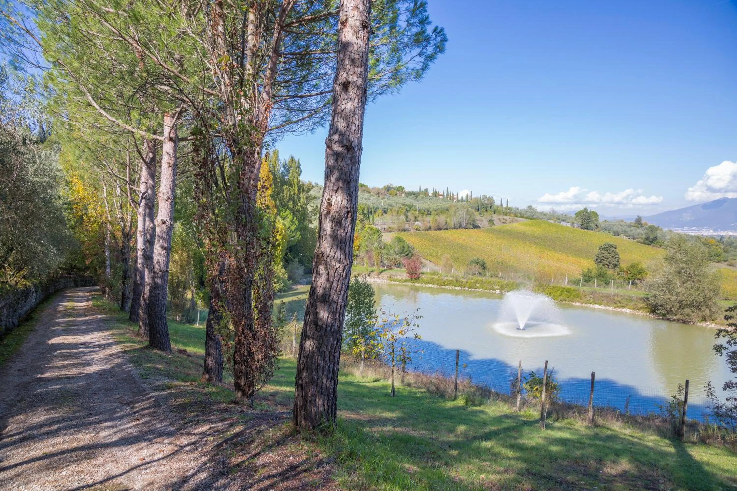 Natural landscape in Fattoria Il Milione Agriturismo