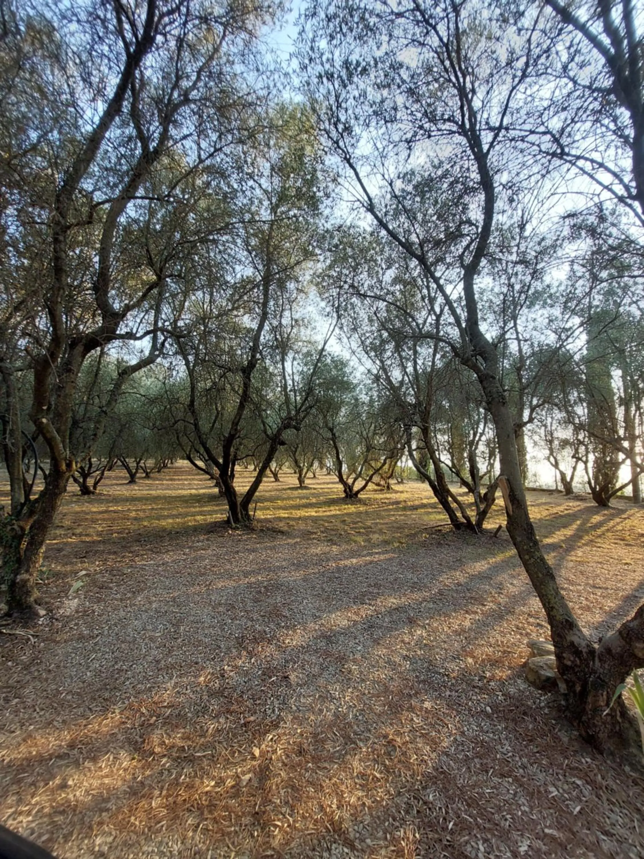 Day in Fattoria Il Milione Agriturismo