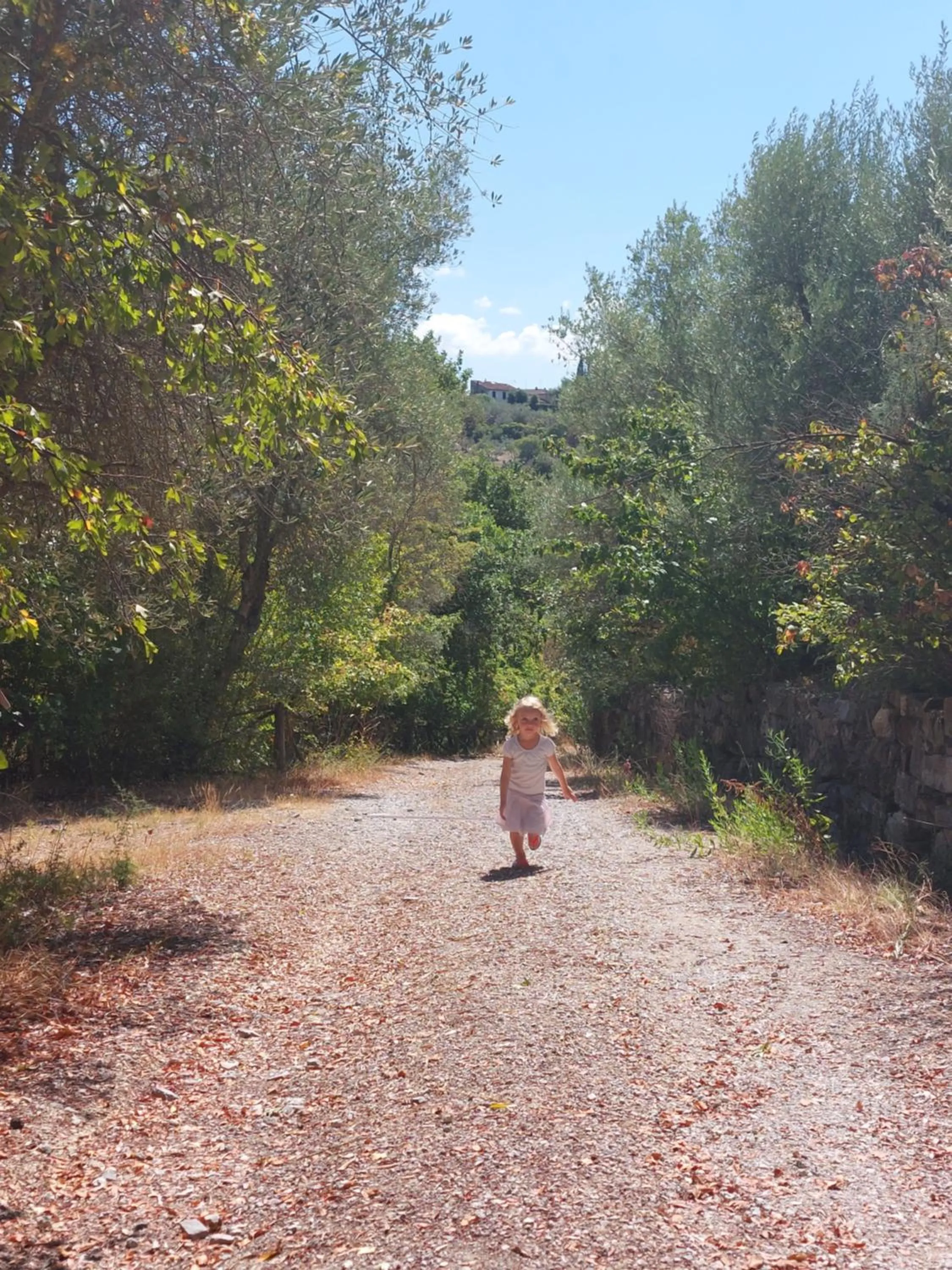 Day in Fattoria Il Milione Agriturismo